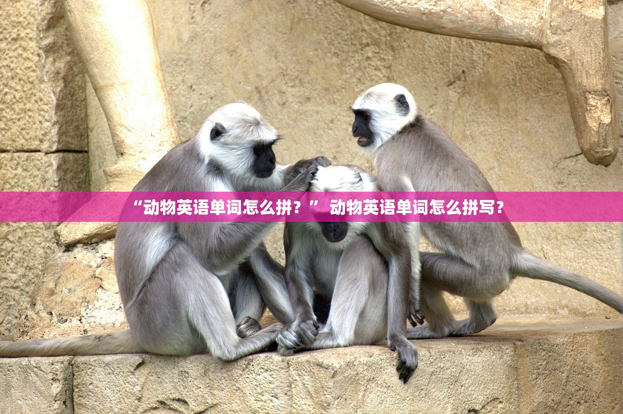 “动物英语单词怎么拼？	” 动物英语单词怎么拼写？