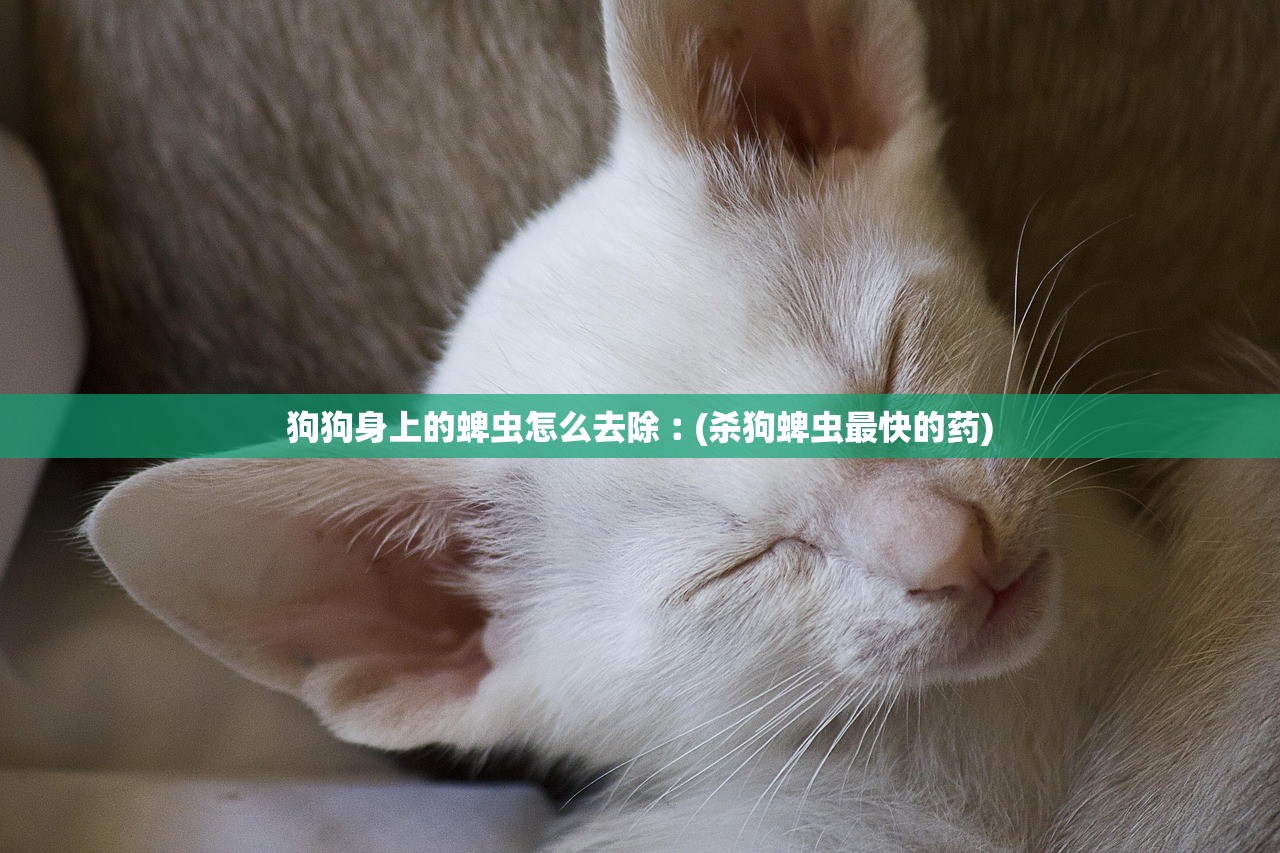 狗狗身上的蜱虫怎么去除︰(杀狗蜱虫最快的药)