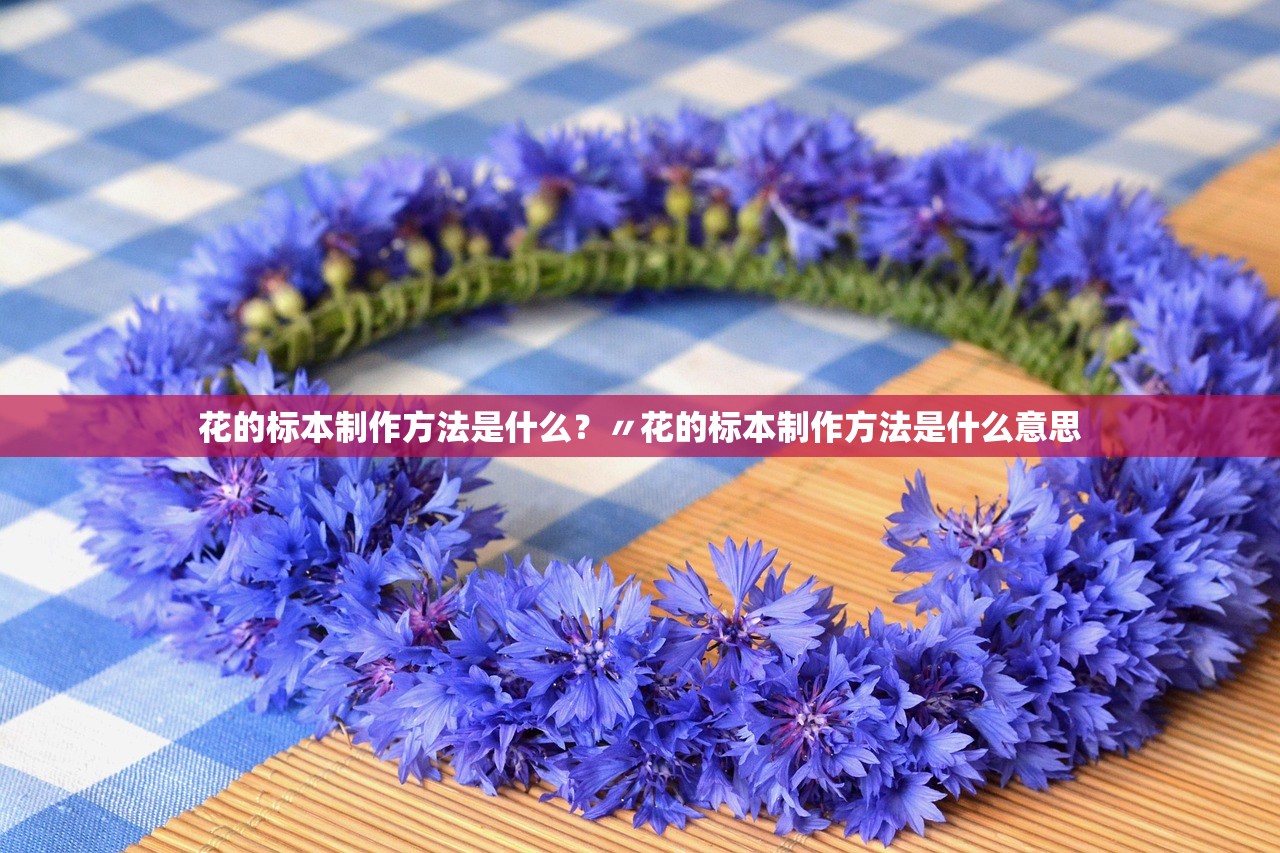 花的标本制作方法是什么？〃花的标本制作方法是什么意思