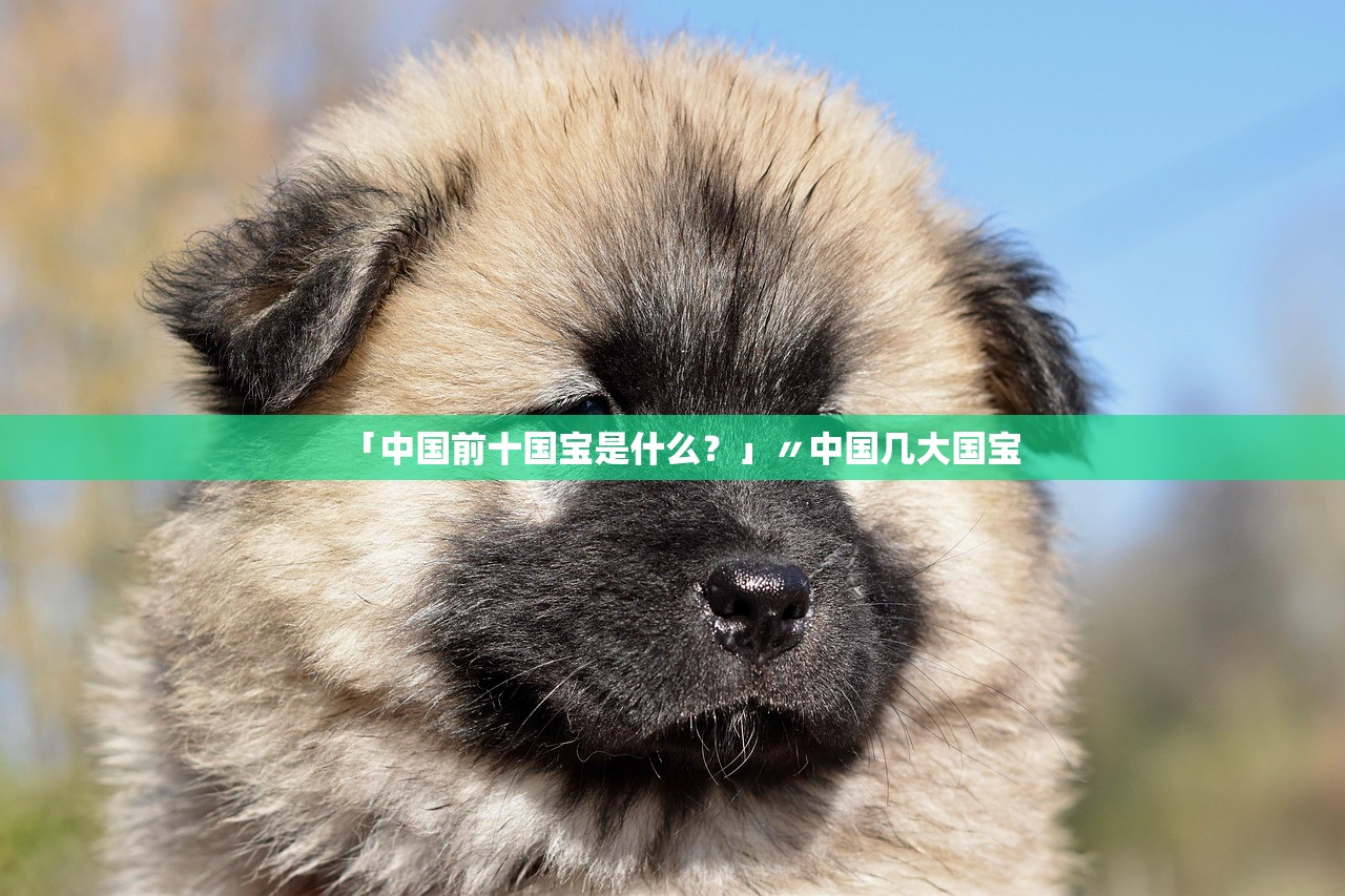 「中国前十国宝是什么?」〃中国几大国宝 「中国前十国宝是什么?」〃中国几大国宝
