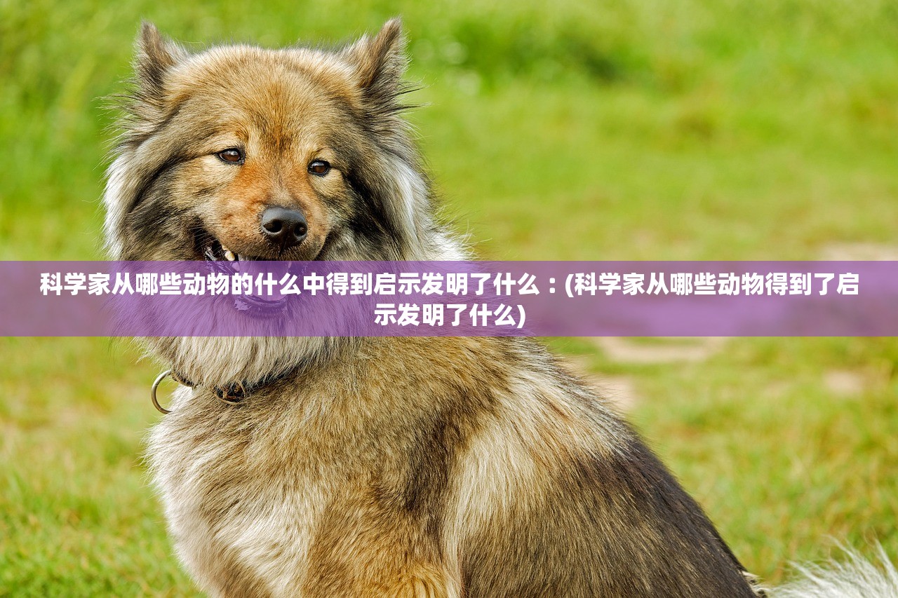 科学家从哪些动物的什么中得到启示发明了什么︰(科学家从哪些动物得到了启示发明了什么) 科学家从哪些动物的什么中得到启示发明了什么︰(科学家从哪些动物得到了启示发明了什么)