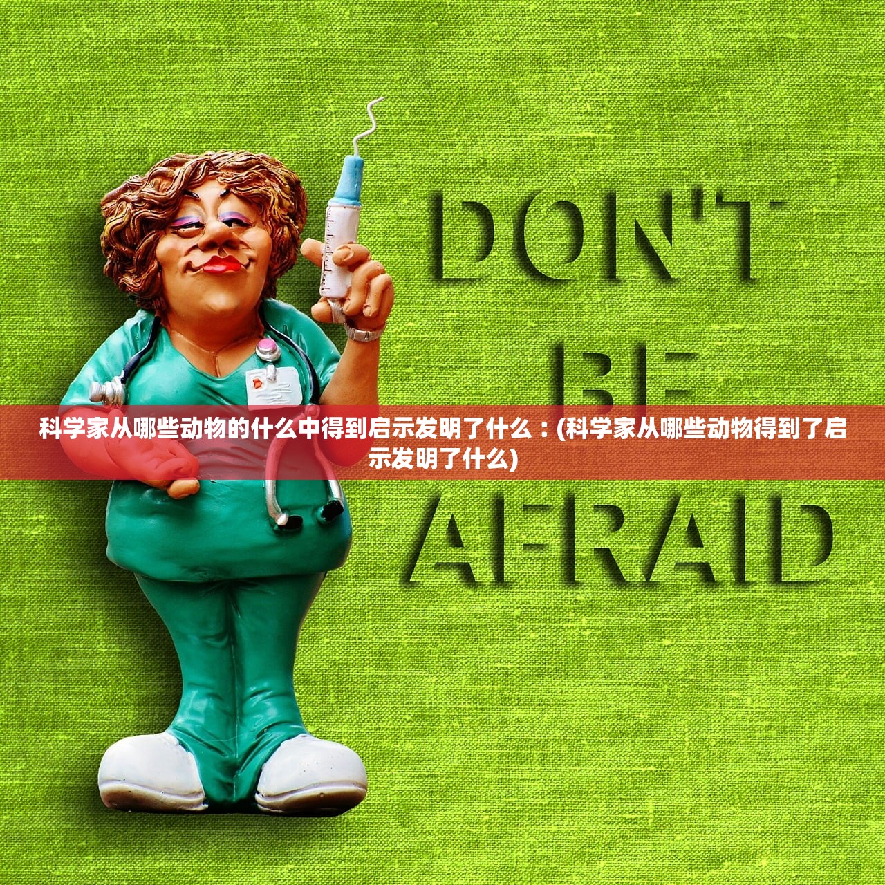 科学家从哪些动物的什么中得到启示发明了什么︰(科学家从哪些动物得到了启示发明了什么) 科学家从哪些动物的什么中得到启示发明了什么︰(科学家从哪些动物得到了启示发明了什么)