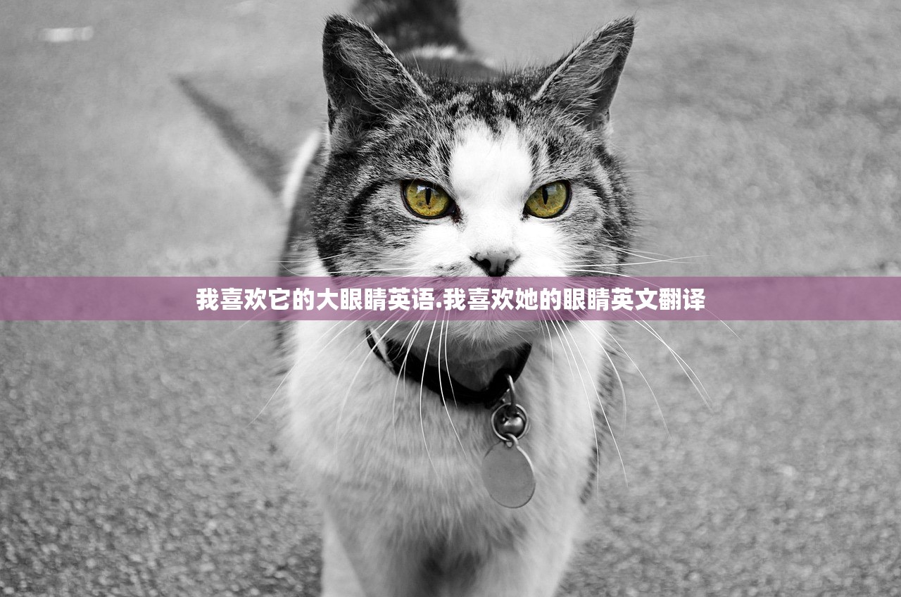 我喜欢它的大眼睛英语.我喜欢她的眼睛英文翻译