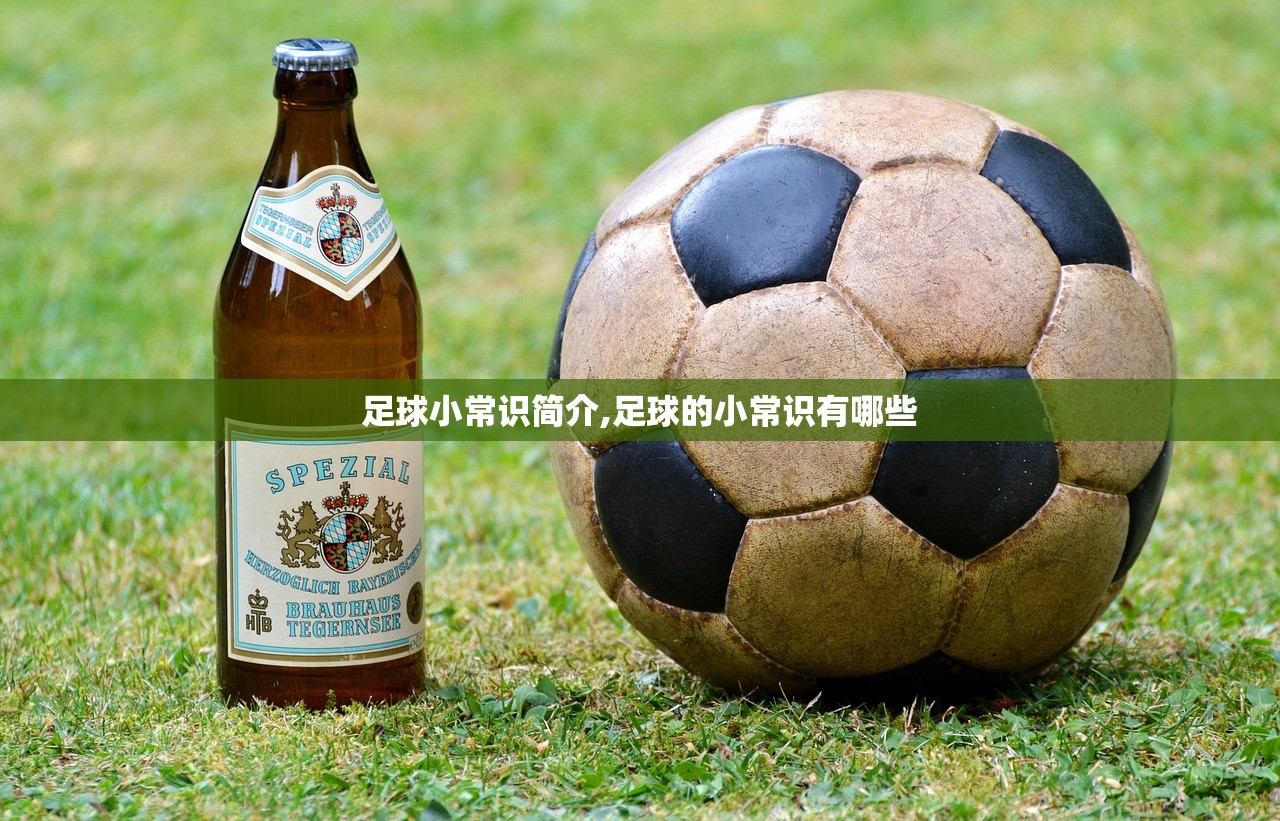 足球小常识简介,足球的小常识有哪些