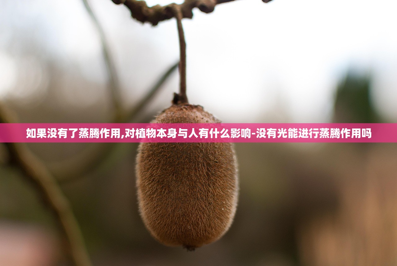 如果没有了蒸腾作用,对植物本身与人有什么影响-没有光能进行蒸腾作用吗