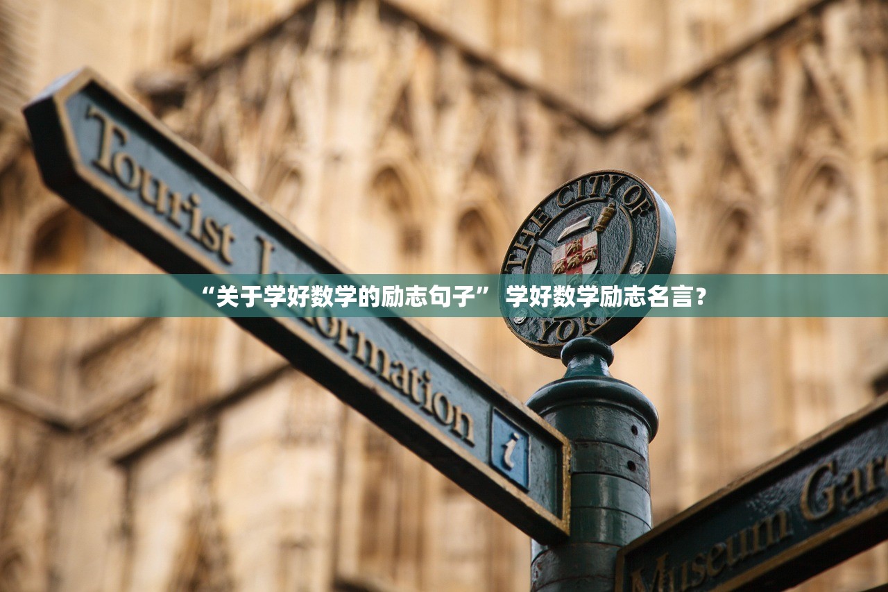 “关于学好数学的励志句子	” 学好数学励志名言？