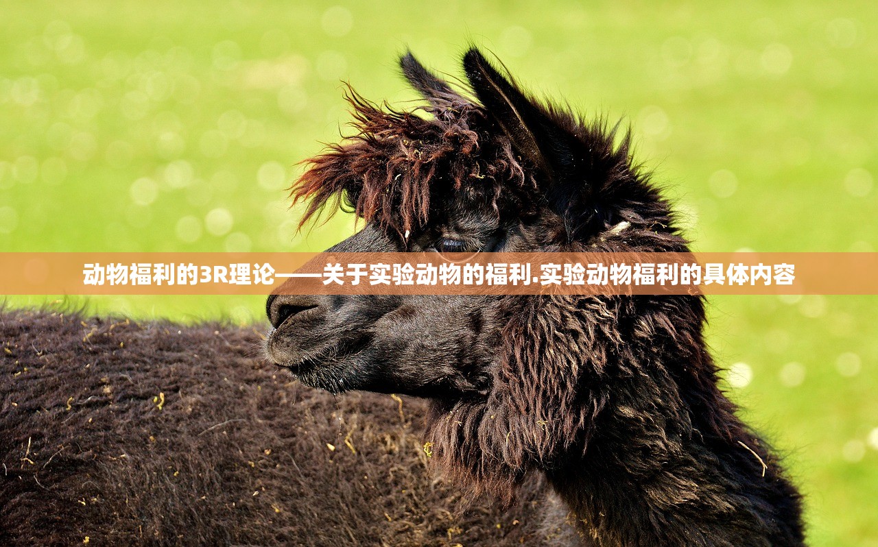 动物福利的3R理论——关于实验动物的福利.实验动物福利的具体内容 动物福利的3R理论——关于实验动物的福利.实验动物福利的具体内容