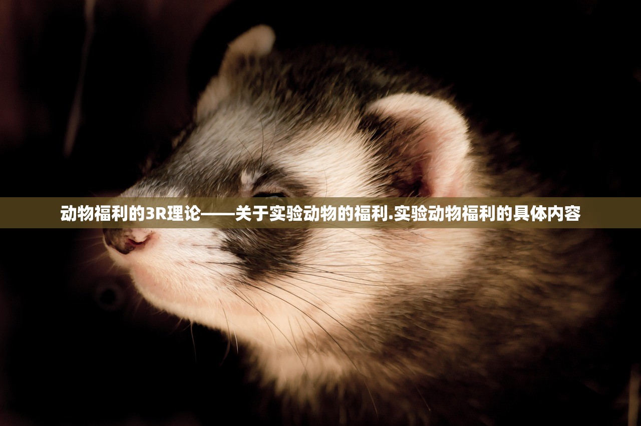 动物福利的3R理论——关于实验动物的福利.实验动物福利的具体内容 动物福利的3R理论——关于实验动物的福利.实验动物福利的具体内容