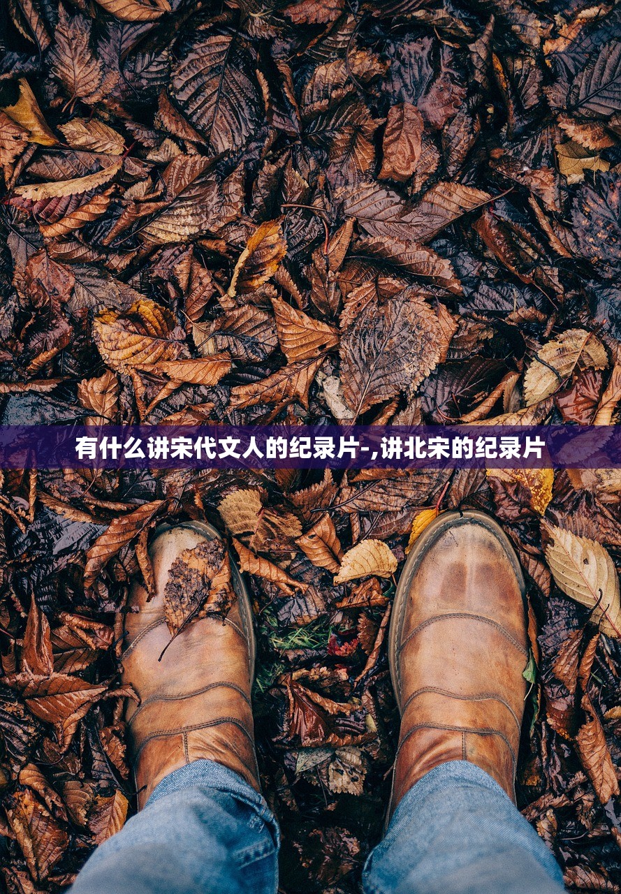 有什么讲宋代文人的纪录片-,讲北宋的纪录片 有什么讲宋代文人的纪录片-,讲北宋的纪录片