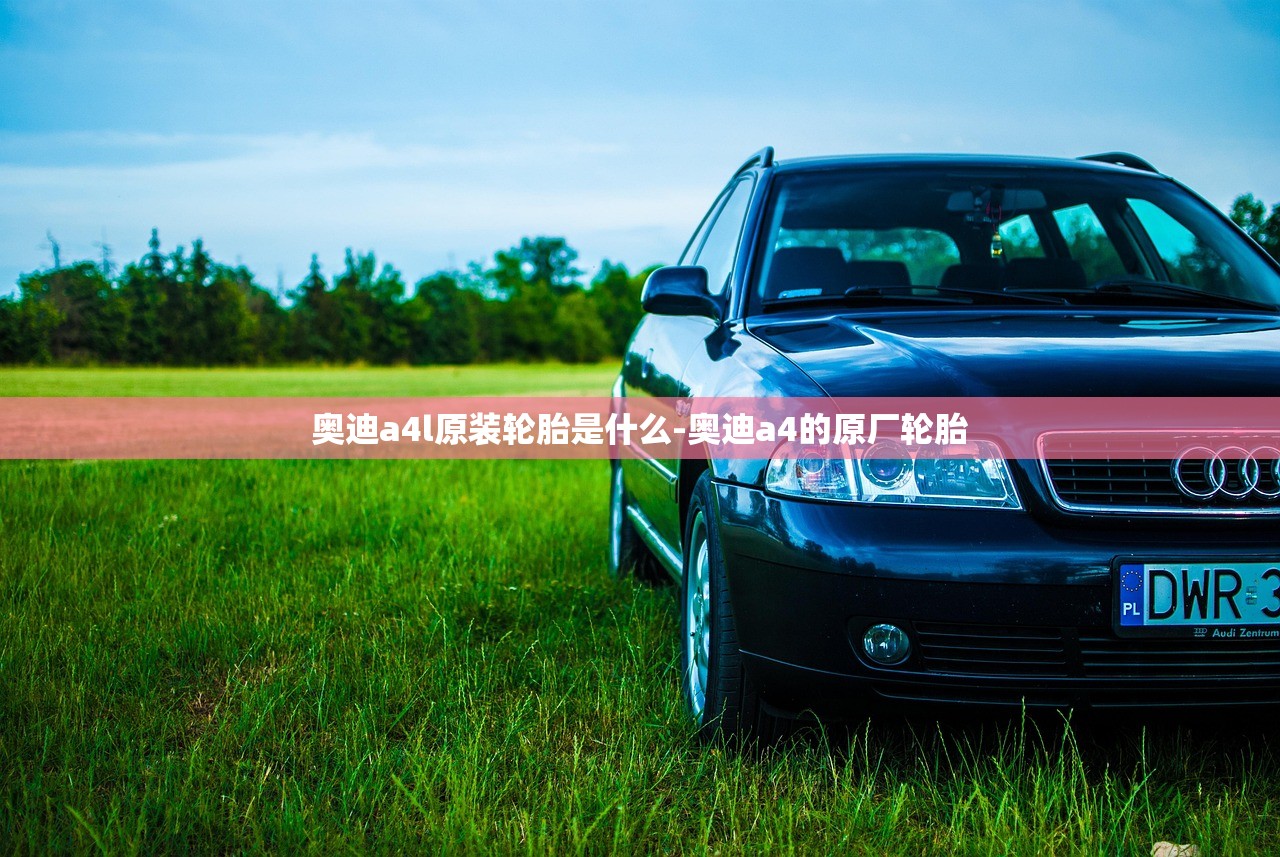 奥迪a4l原装轮胎是什么-奥迪a4的原厂轮胎