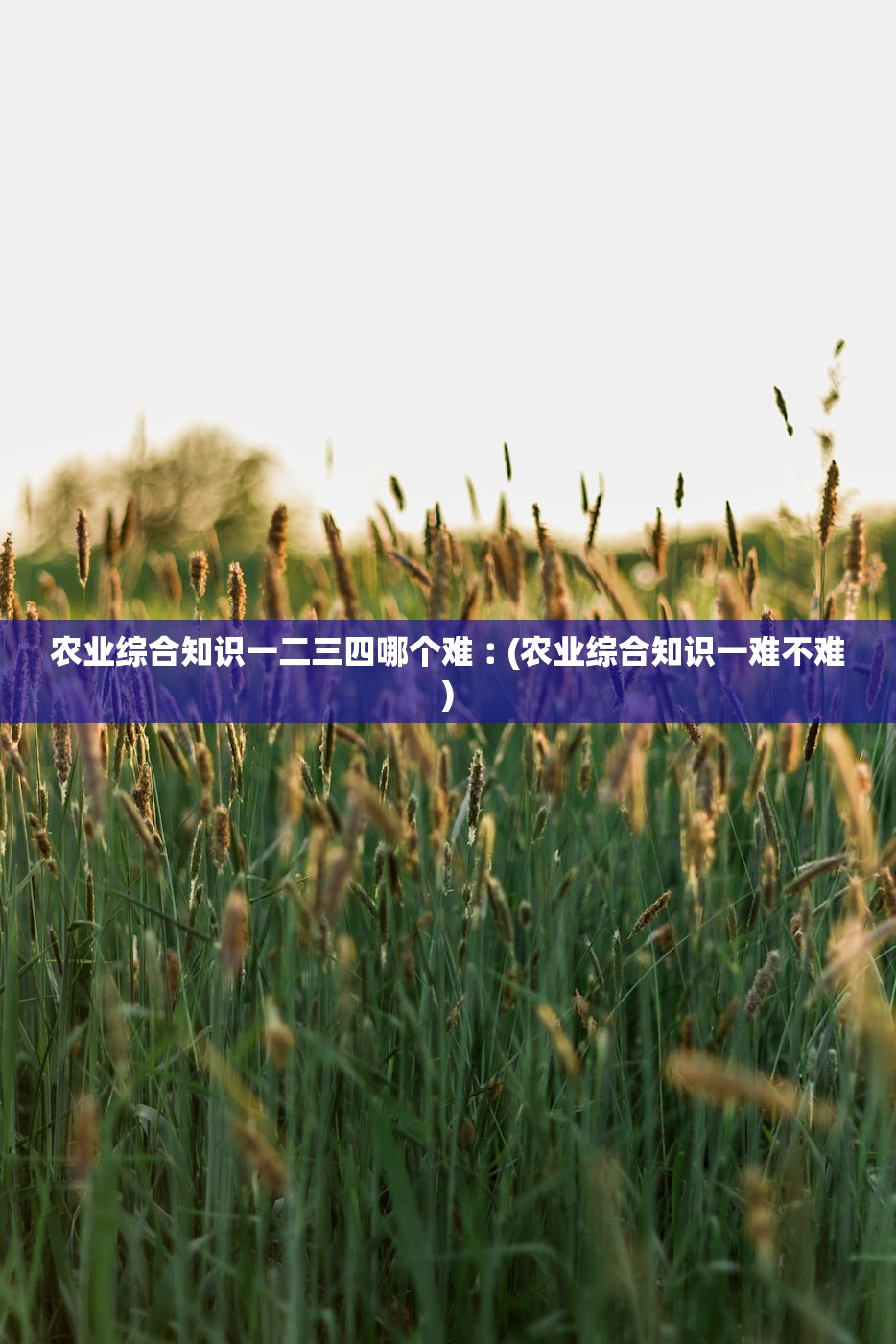 农业综合知识一二三四哪个难︰(农业综合知识一难不难) 农业综合知识一二三四哪个难︰(农业综合知识一难不难)