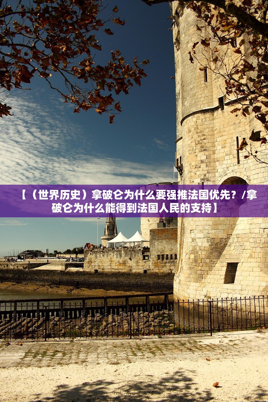 【（世界历史）拿破仑为什么要强推法国优先？/拿破仑为什么能得到法国人民的支持】