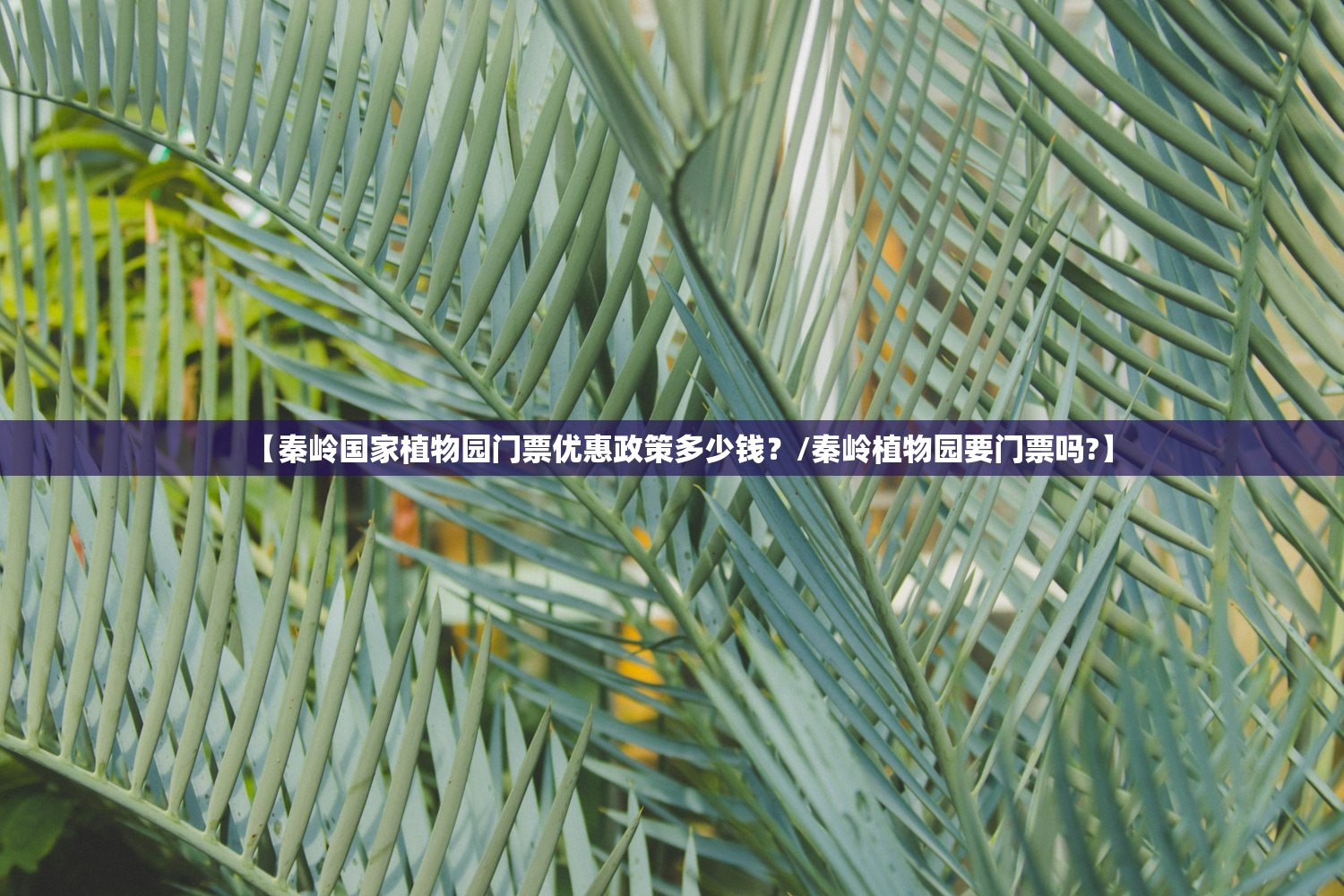 【秦岭国家植物园门票优惠政策多少钱?/秦岭植物园要门票吗?】 【秦岭国家植物园门票优惠政策多少钱?/秦岭植物园要门票吗?】