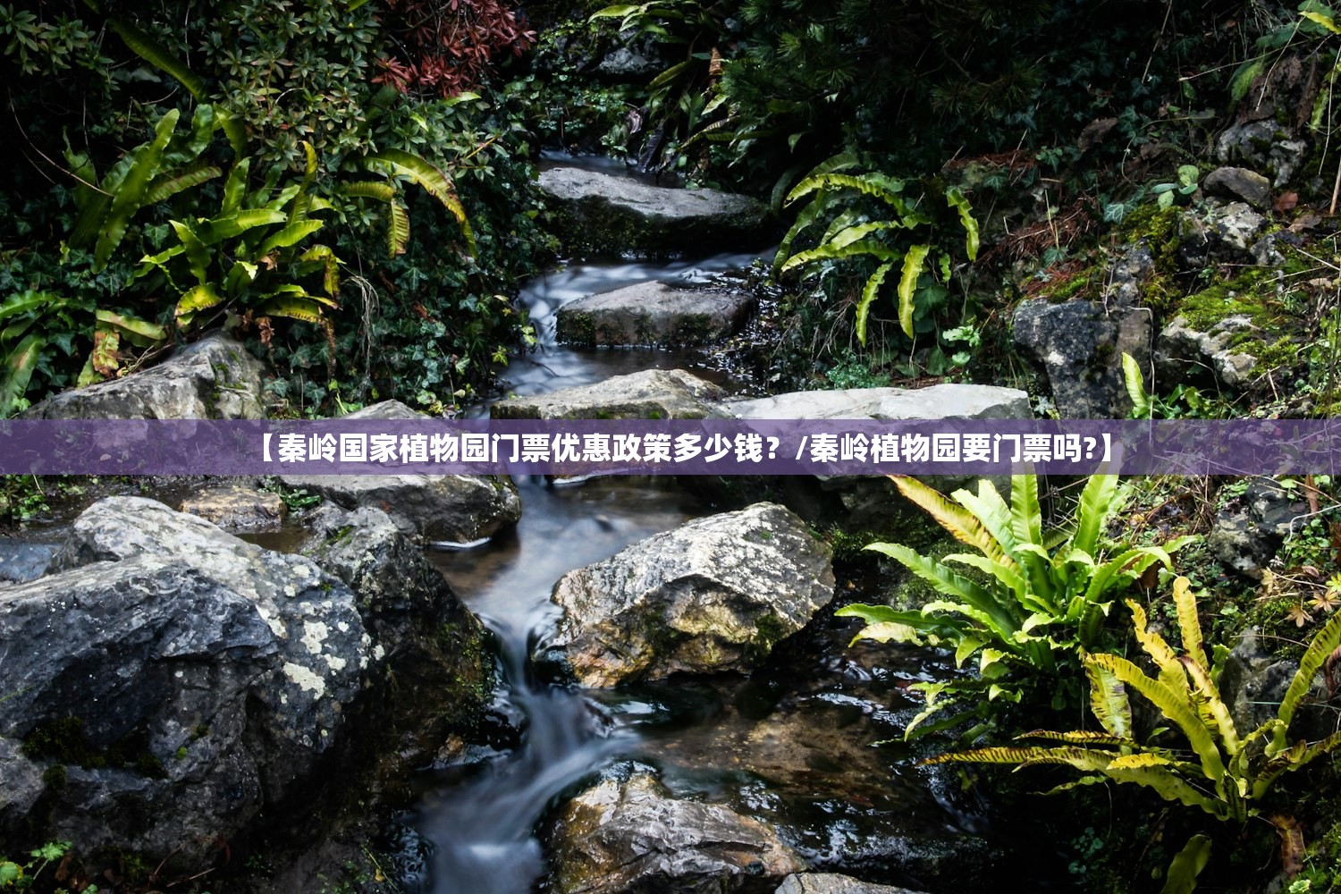 【秦岭国家植物园门票优惠政策多少钱?/秦岭植物园要门票吗?】 【秦岭国家植物园门票优惠政策多少钱?/秦岭植物园要门票吗?】