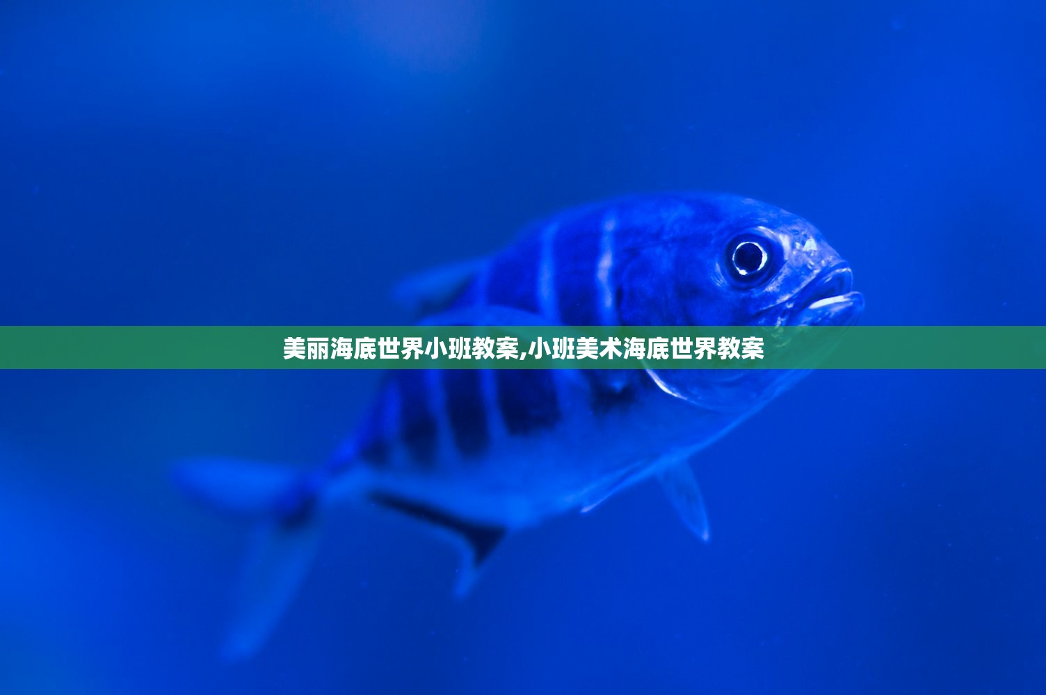 美丽海底世界小班教案,小班美术海底世界教案