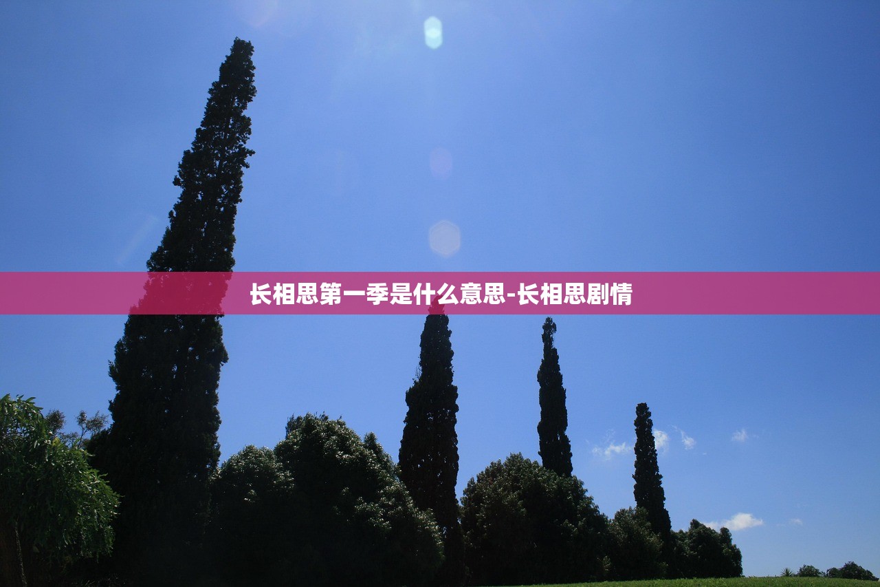 长相思第一季是什么意思-长相思剧情