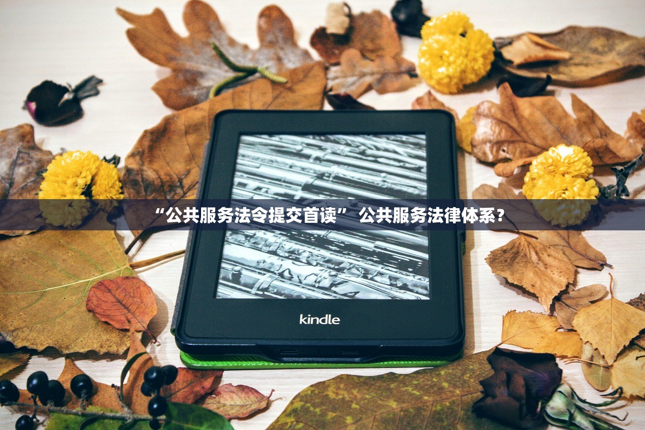 “公共服务法令提交首读” 公共服务法律体系？