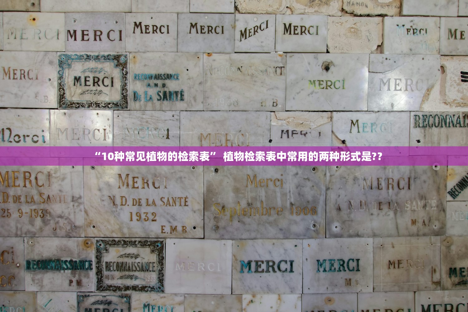 “10种常见植物的检索表	” 植物检索表中常用的两种形式是?？