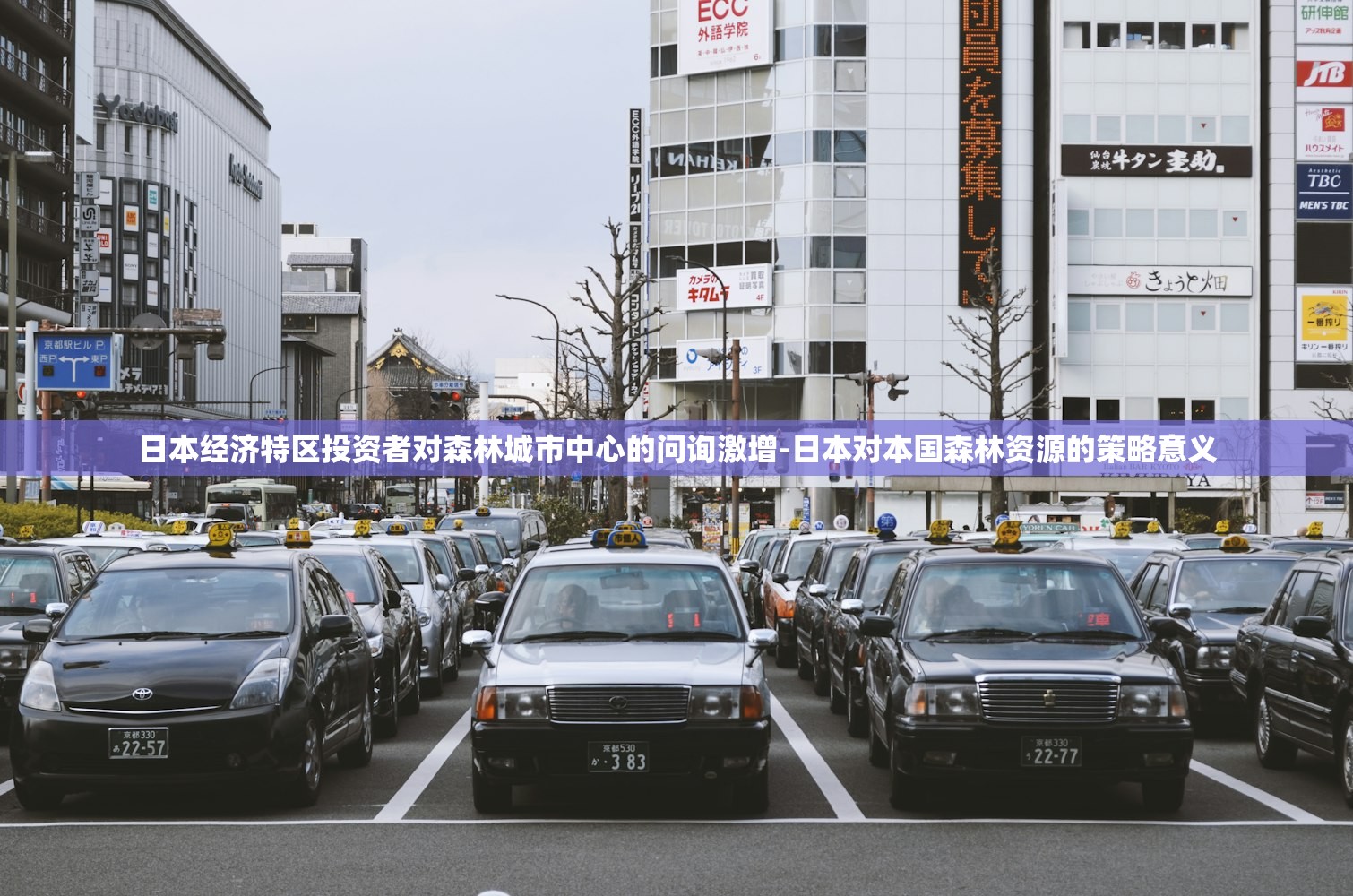 日本经济特区投资者对森林城市中心的问询激增-日本对本国森林资源的策略意义