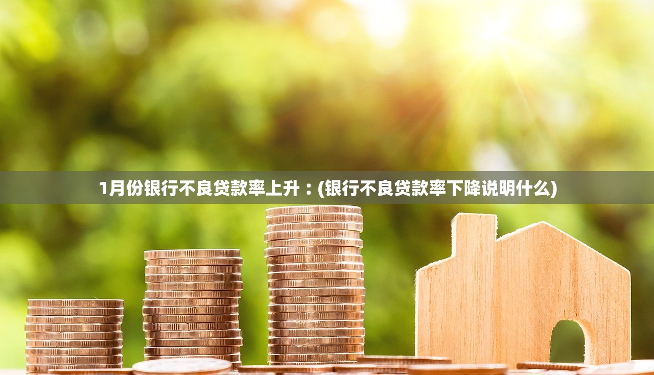 1月份银行不良贷款率上升︰(银行不良贷款率下降说明什么)