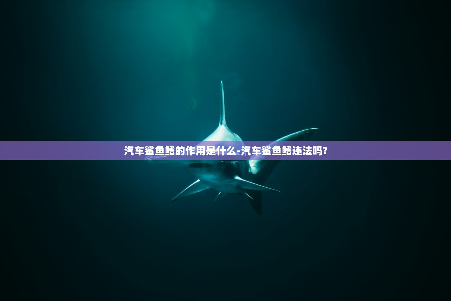汽车鲨鱼鳍的作用是什么-汽车鲨鱼鳍违法吗?