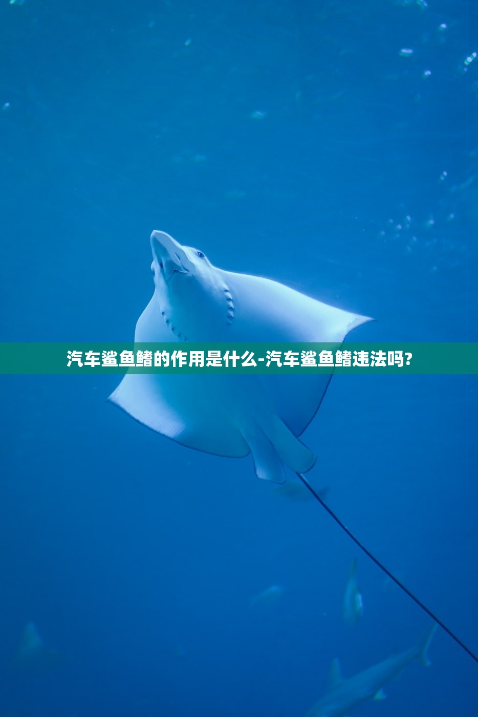 汽车鲨鱼鳍的作用是什么-汽车鲨鱼鳍违法吗?