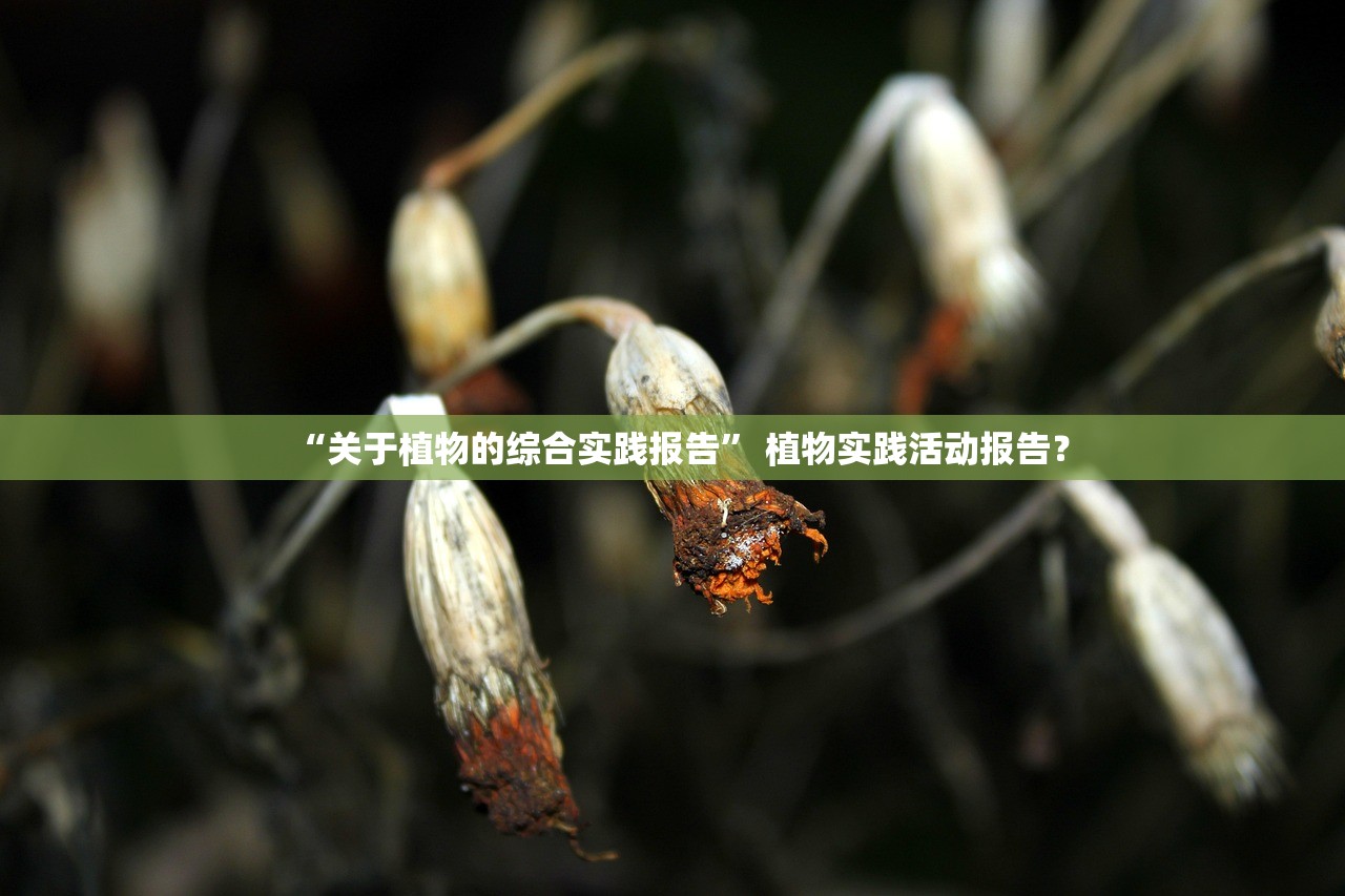“关于植物的综合实践报告” 植物实践活动报告？