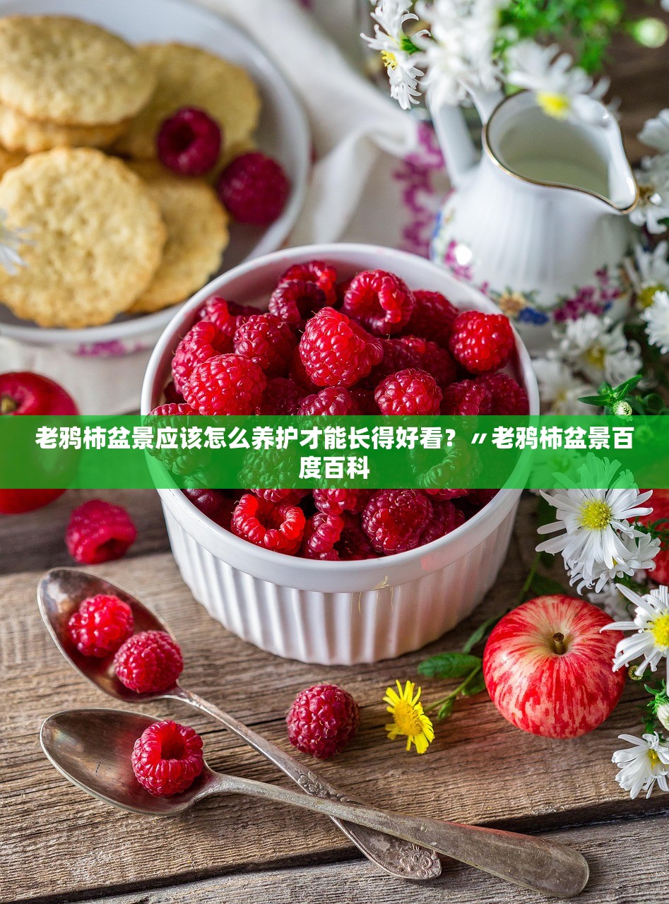 老鸦柿盆景应该怎么养护才能长得好看?〃老鸦柿盆景百度百科 老鸦柿盆景应该怎么养护才能长得好看?〃老鸦柿盆景百度百科