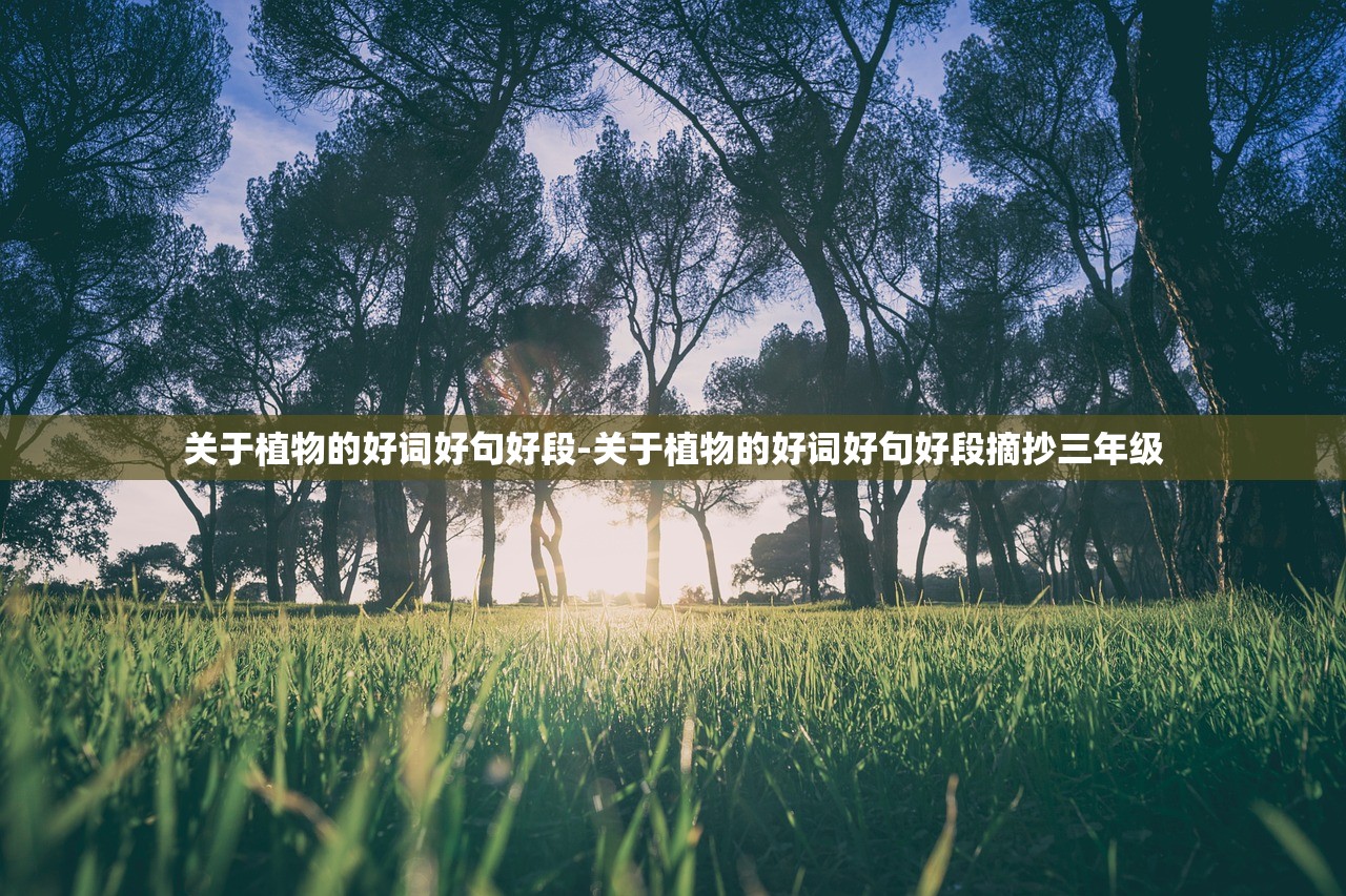 关于植物的好词好句好段-关于植物的好词好句好段摘抄三年级 关于植物的好词好句好段-关于植物的好词好句好段摘抄三年级