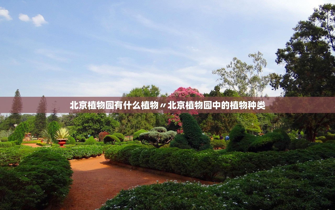 北京植物园有什么植物〃北京植物园中的植物种类