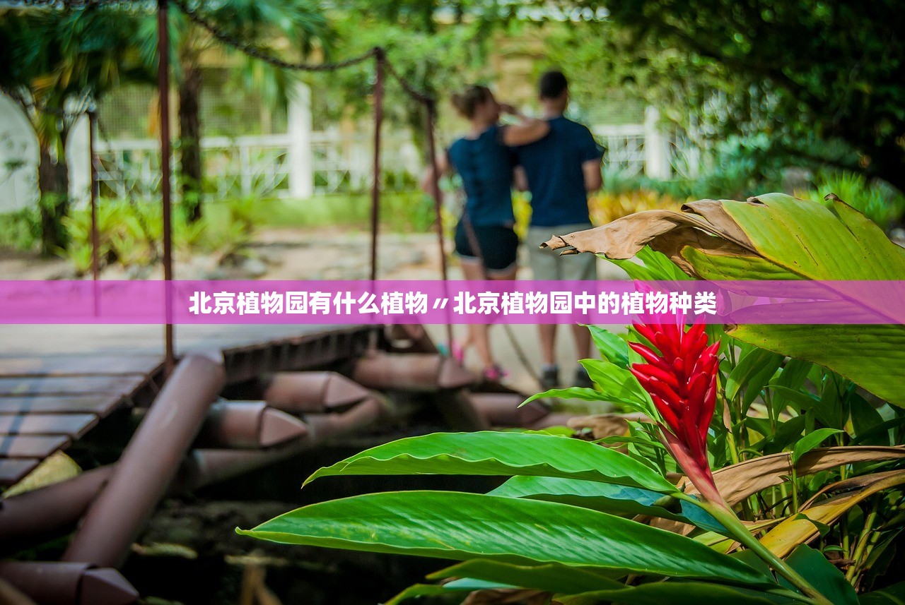 北京植物园有什么植物〃北京植物园中的植物种类