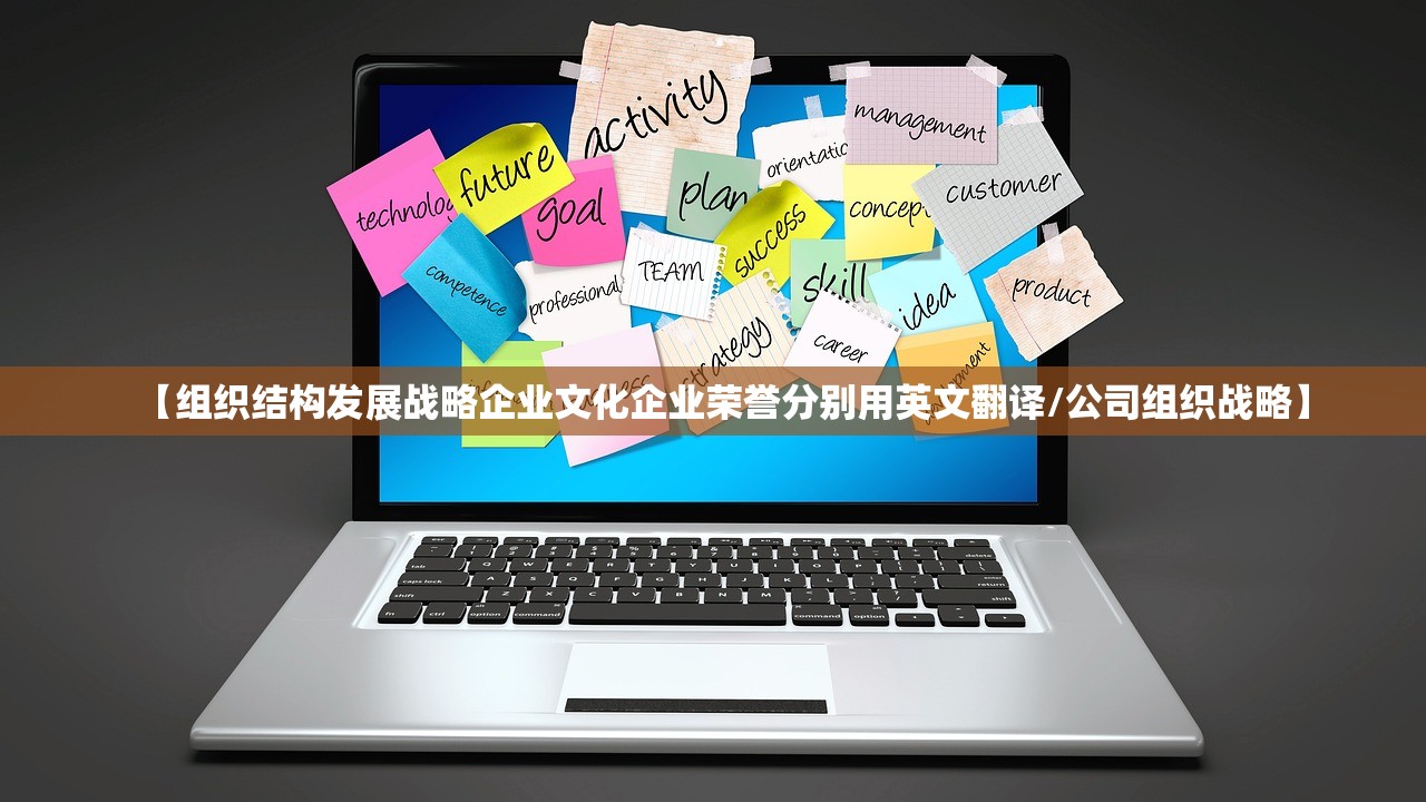【组织结构发展战略企业文化企业荣誉分别用英文翻译/公司组织战略】