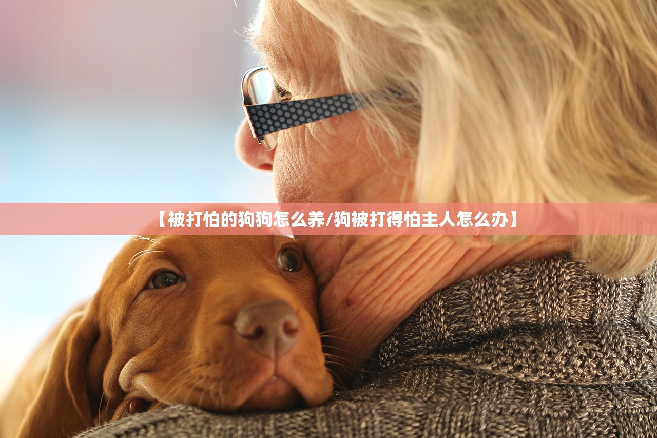 【被打怕的狗狗怎么养/狗被打得怕主人怎么办】 【被打怕的狗狗怎么养/狗被打得怕主人怎么办】
