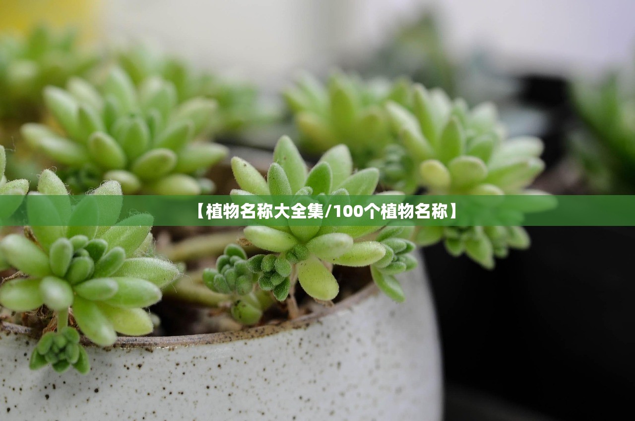 【植物名称大全集/100个植物名称】
