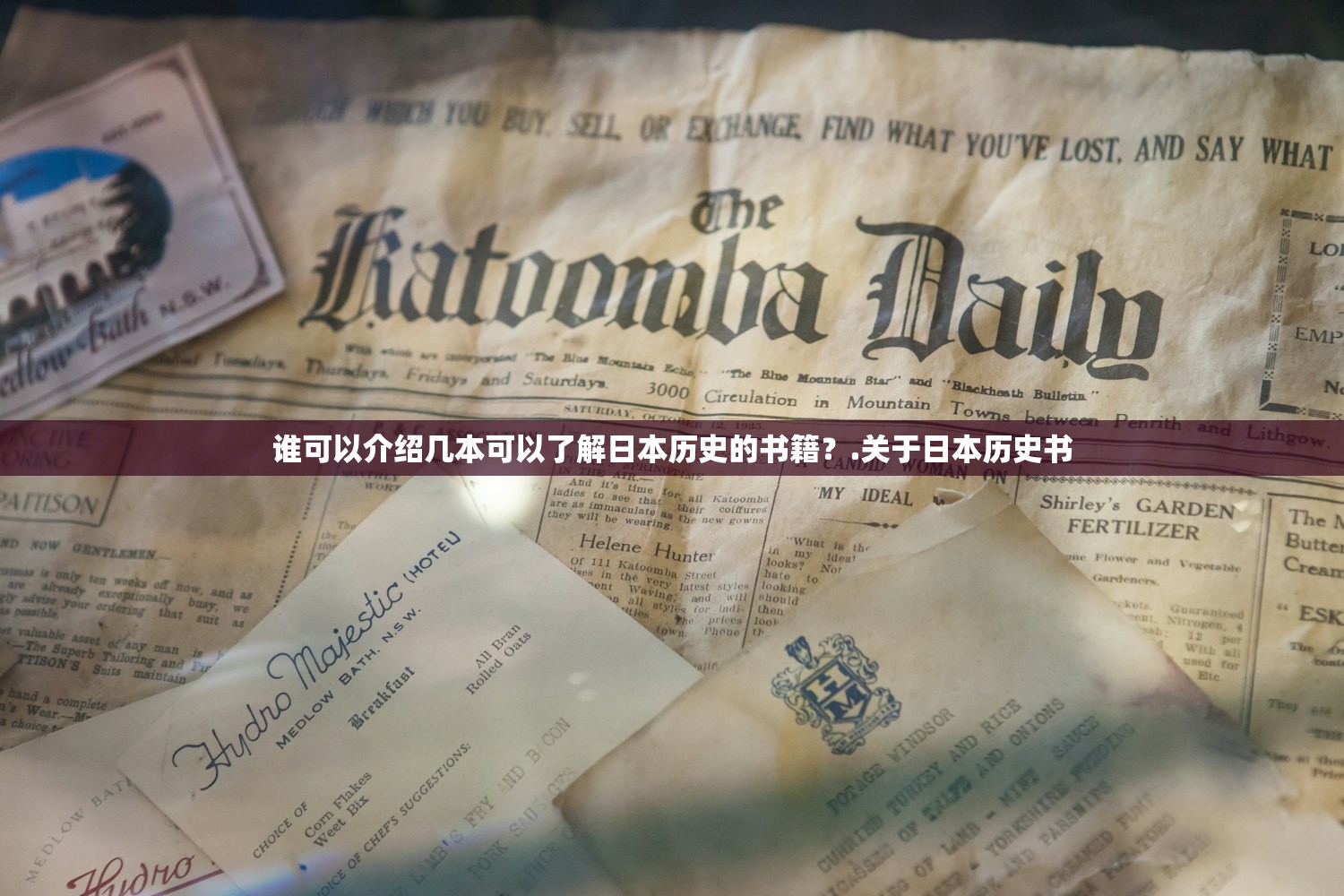 谁可以介绍几本可以了解日本历史的书籍?.关于日本历史书 谁可以介绍几本可以了解日本历史的书籍?.关于日本历史书