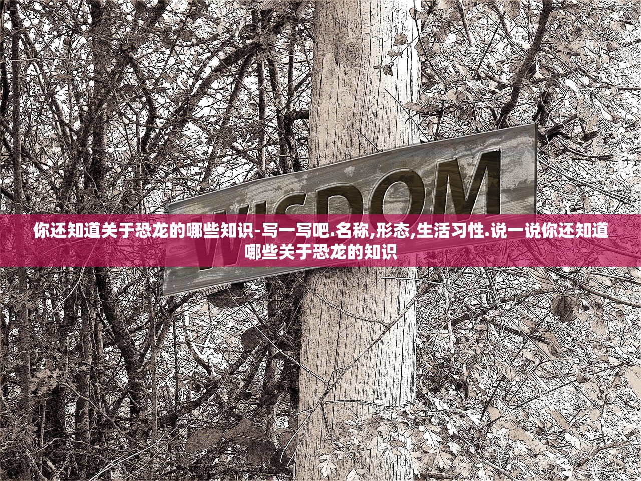 你还知道关于恐龙的哪些知识-写一写吧.名称,形态,生活习性.说一说你还知道哪些关于恐龙的知识