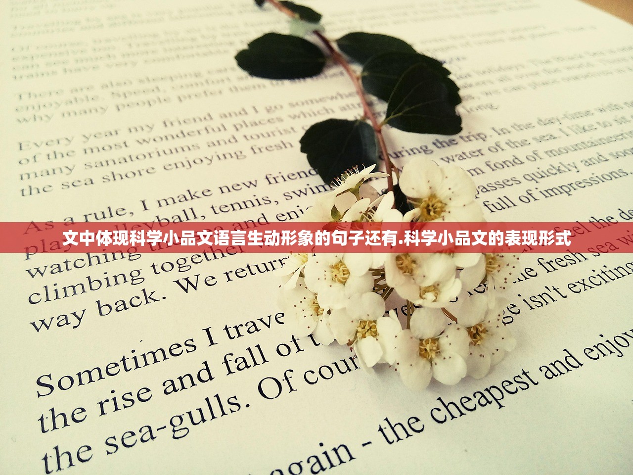 文中体现科学小品文语言生动形象的句子还有.科学小品文的表现形式