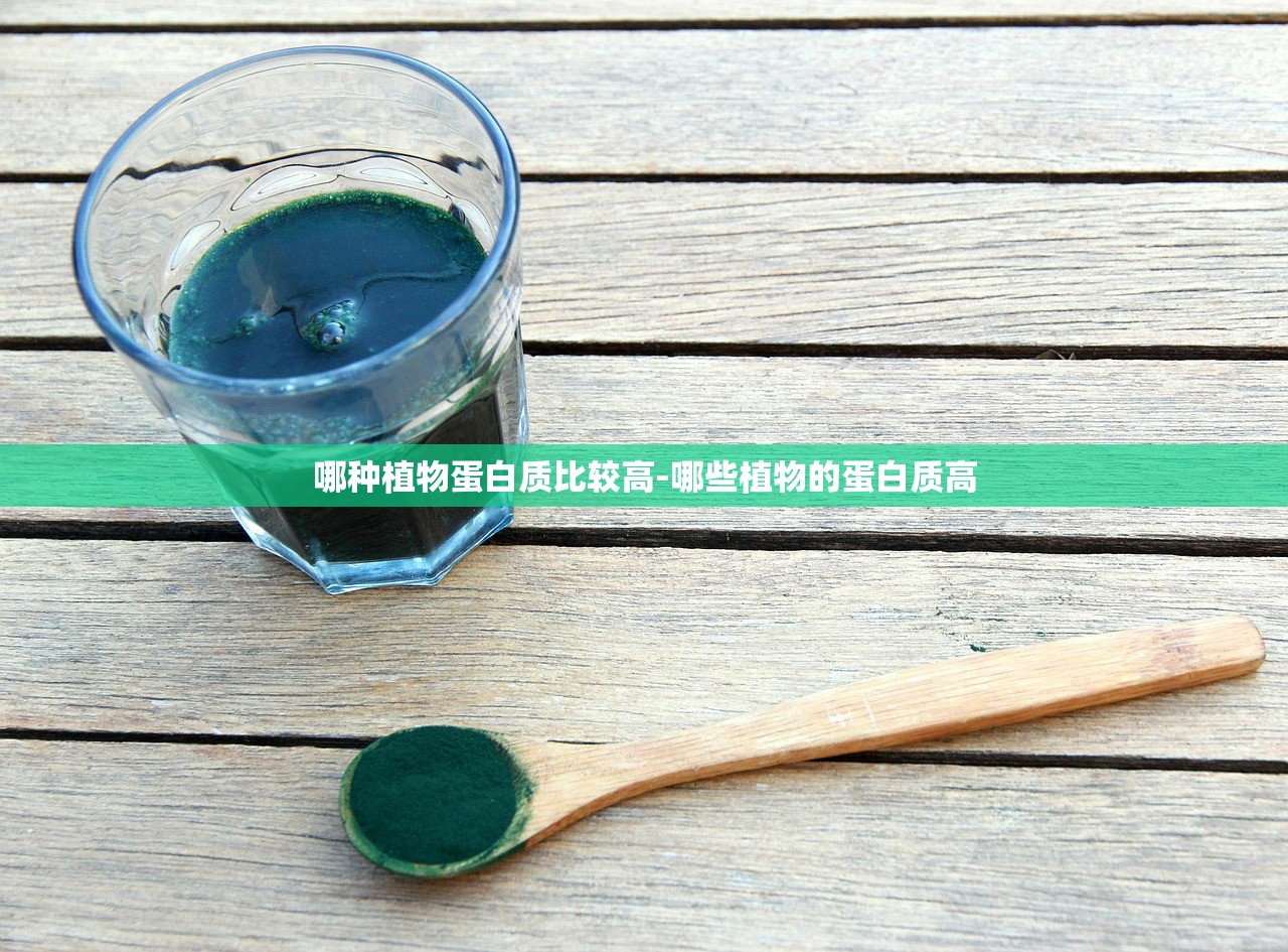 哪种植物蛋白质比较高-哪些植物的蛋白质高