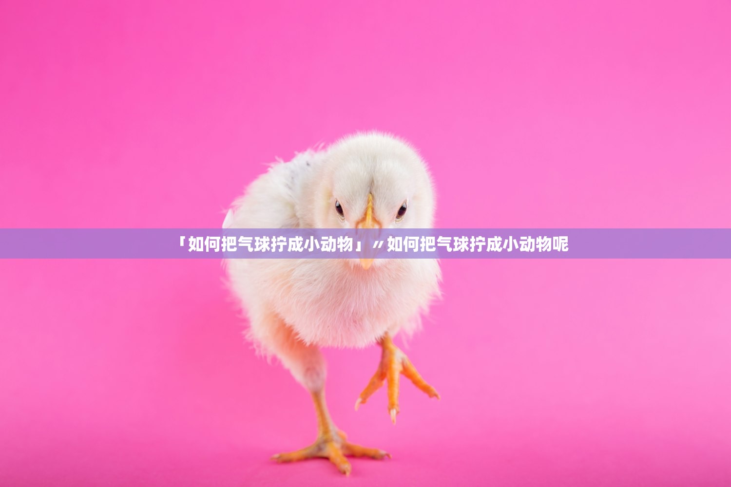 「如何把气球拧成小动物」〃如何把气球拧成小动物呢