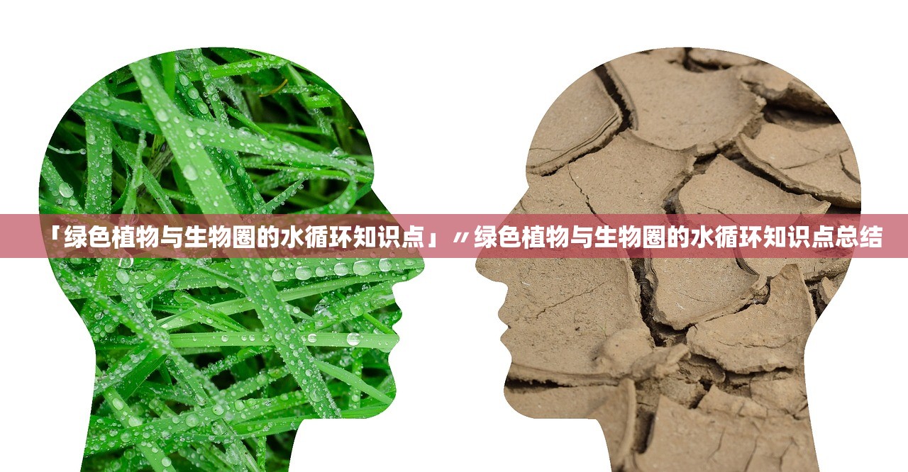 「绿色植物与生物圈的水循环知识点」〃绿色植物与生物圈的水循环知识点总结