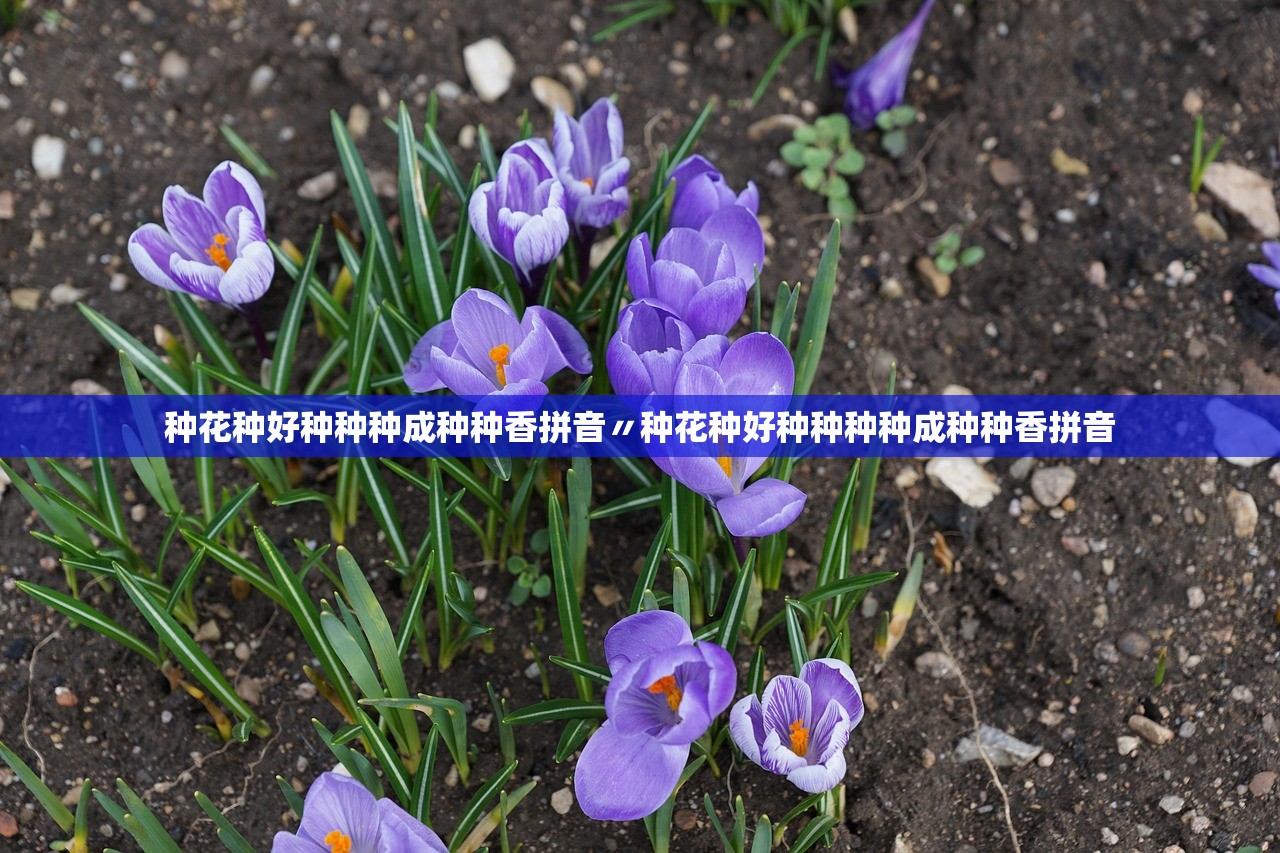种花种好种种种成种种香拼音〃种花种好种种种种成种种香拼音