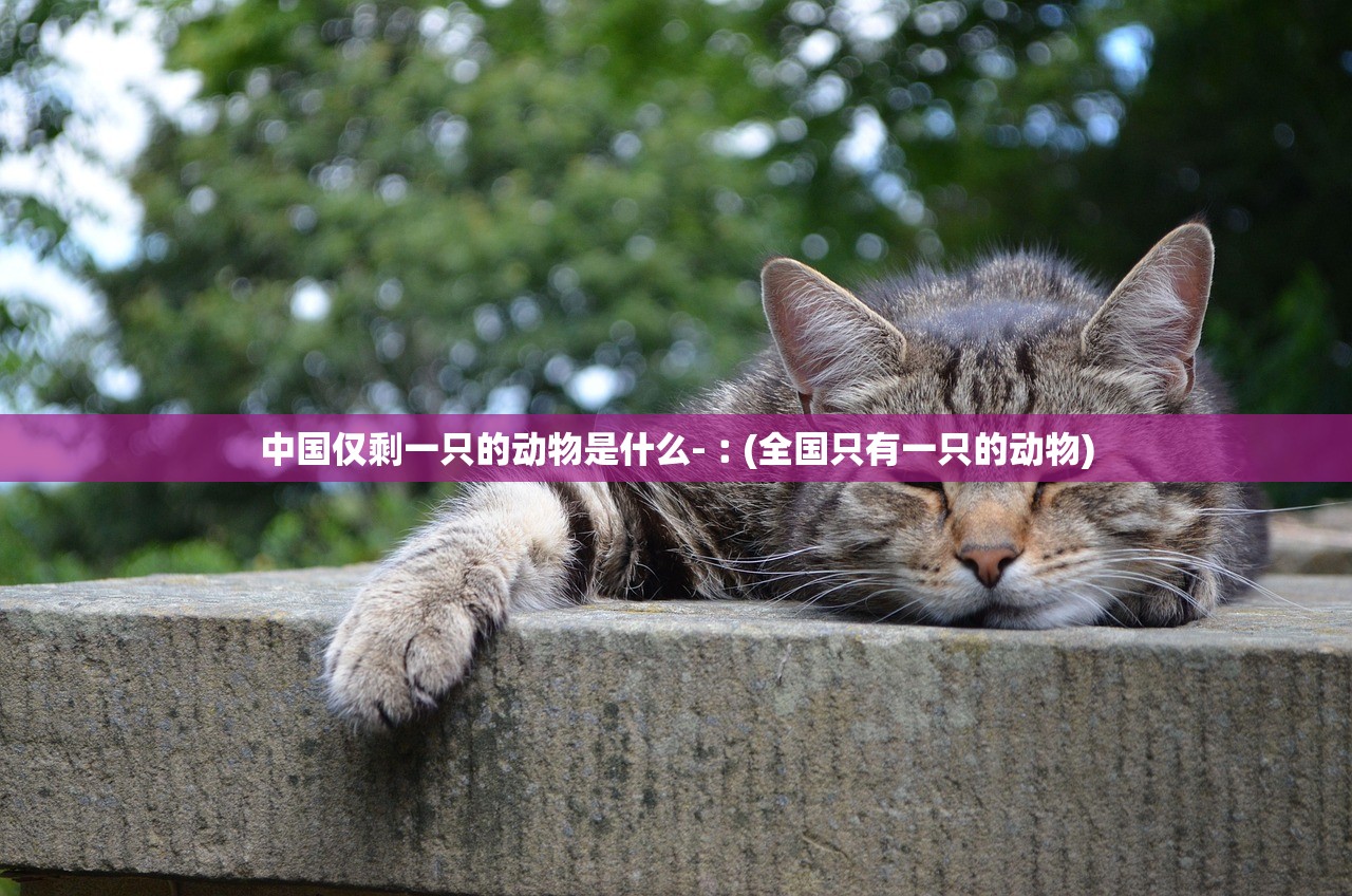 中国仅剩一只的动物是什么-︰(全国只有一只的动物) 中国仅剩一只的动物是什么-︰(全国只有一只的动物)