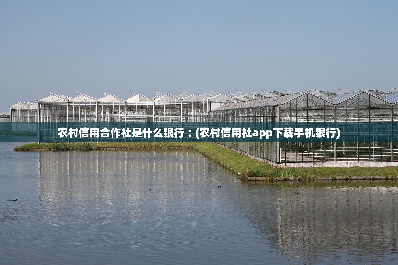 农村信用合作社是什么银行︰(农村信用社app下载手机银行)