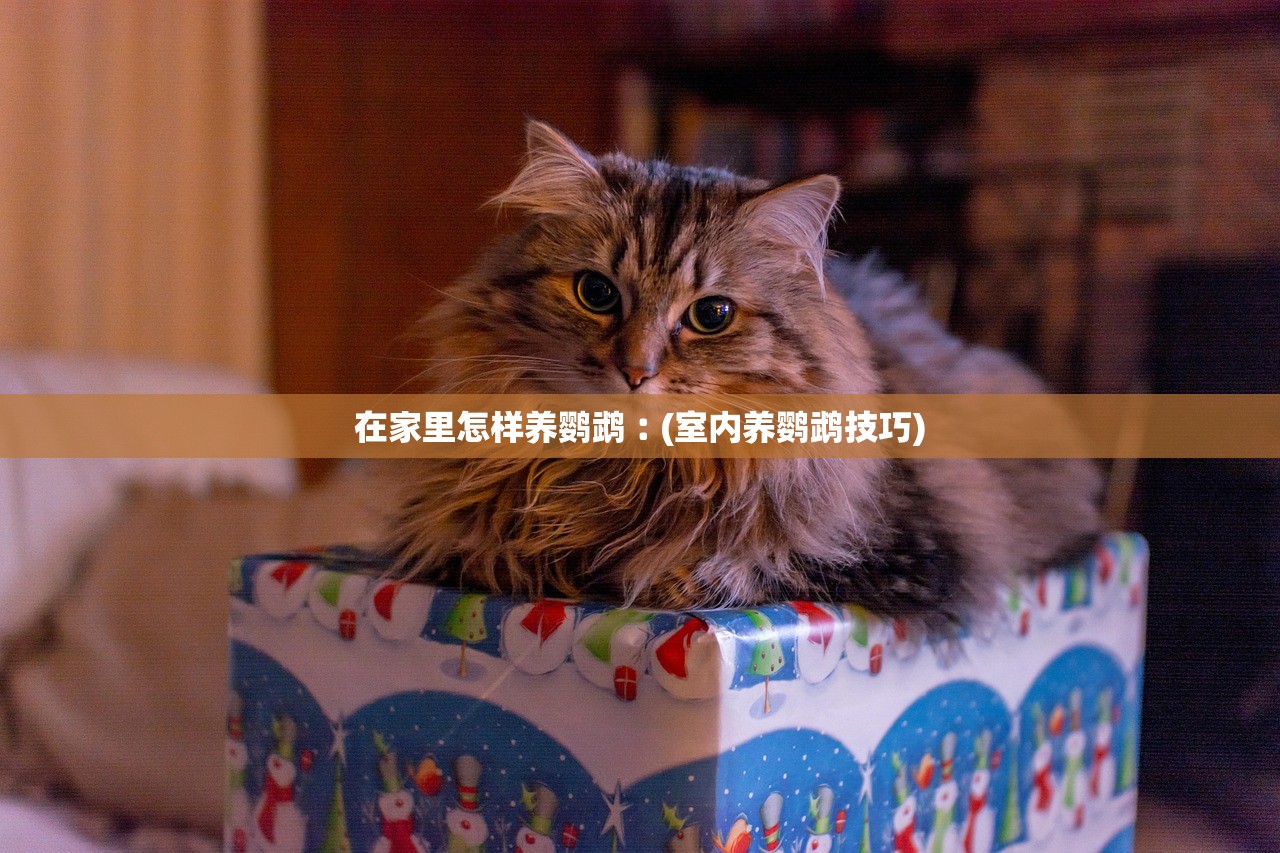 在家里怎样养鹦鹉︰(室内养鹦鹉技巧)