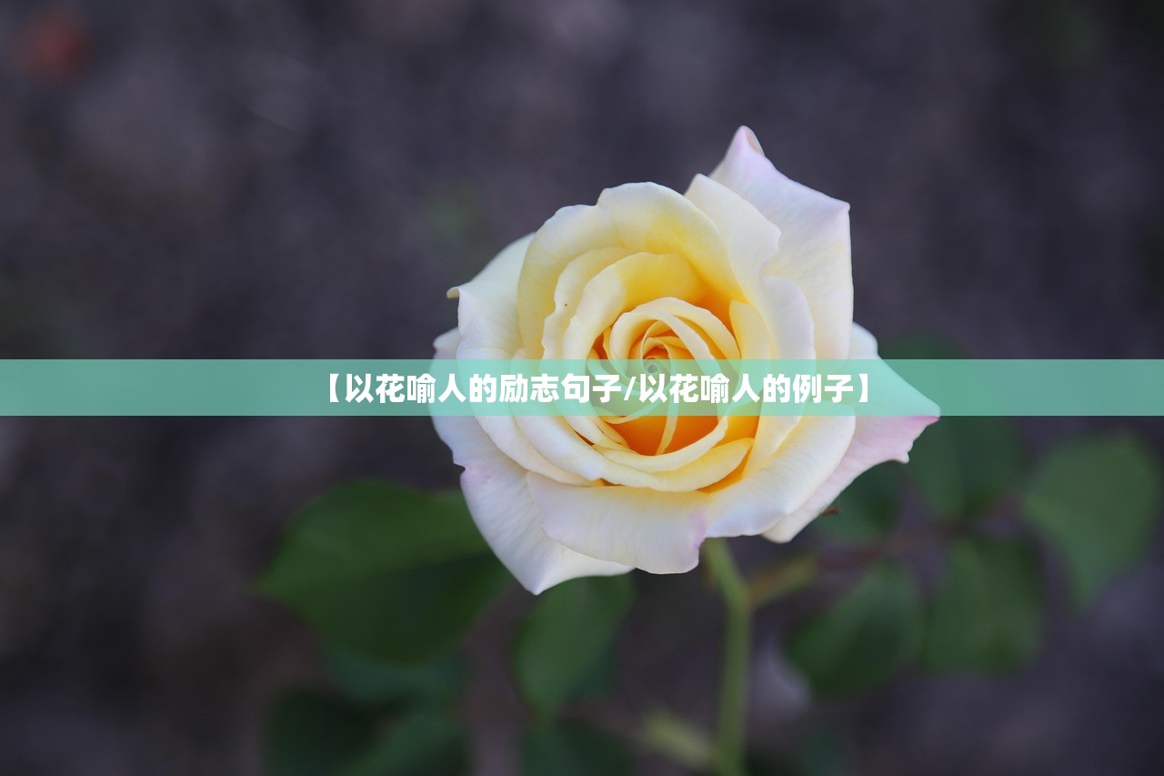【以花喻人的励志句子/以花喻人的例子】