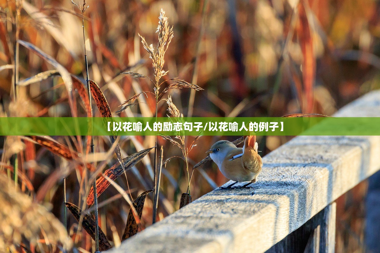 【以花喻人的励志句子/以花喻人的例子】