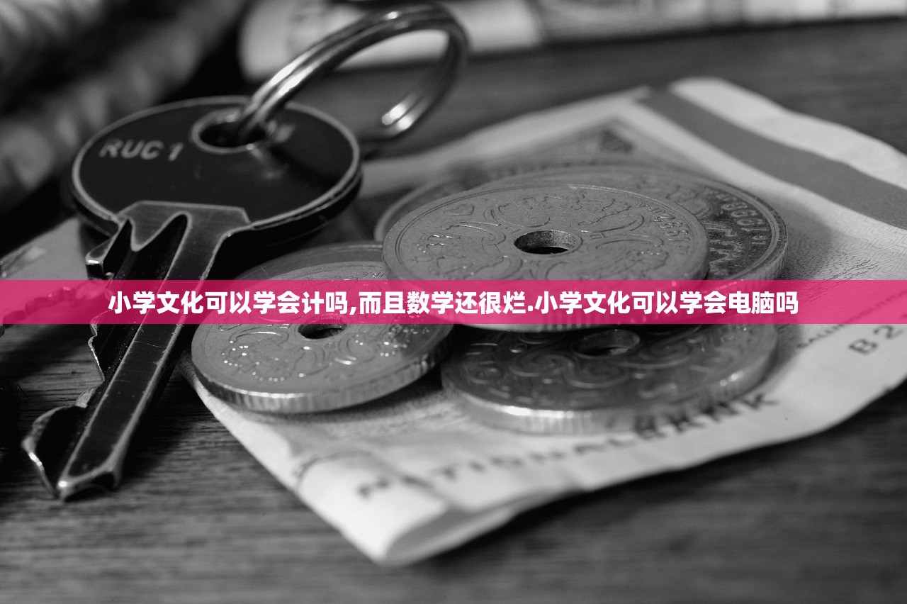 小学文化可以学会计吗,而且数学还很烂.小学文化可以学会电脑吗 小学文化可以学会计吗,而且数学还很烂.小学文化可以学会电脑吗