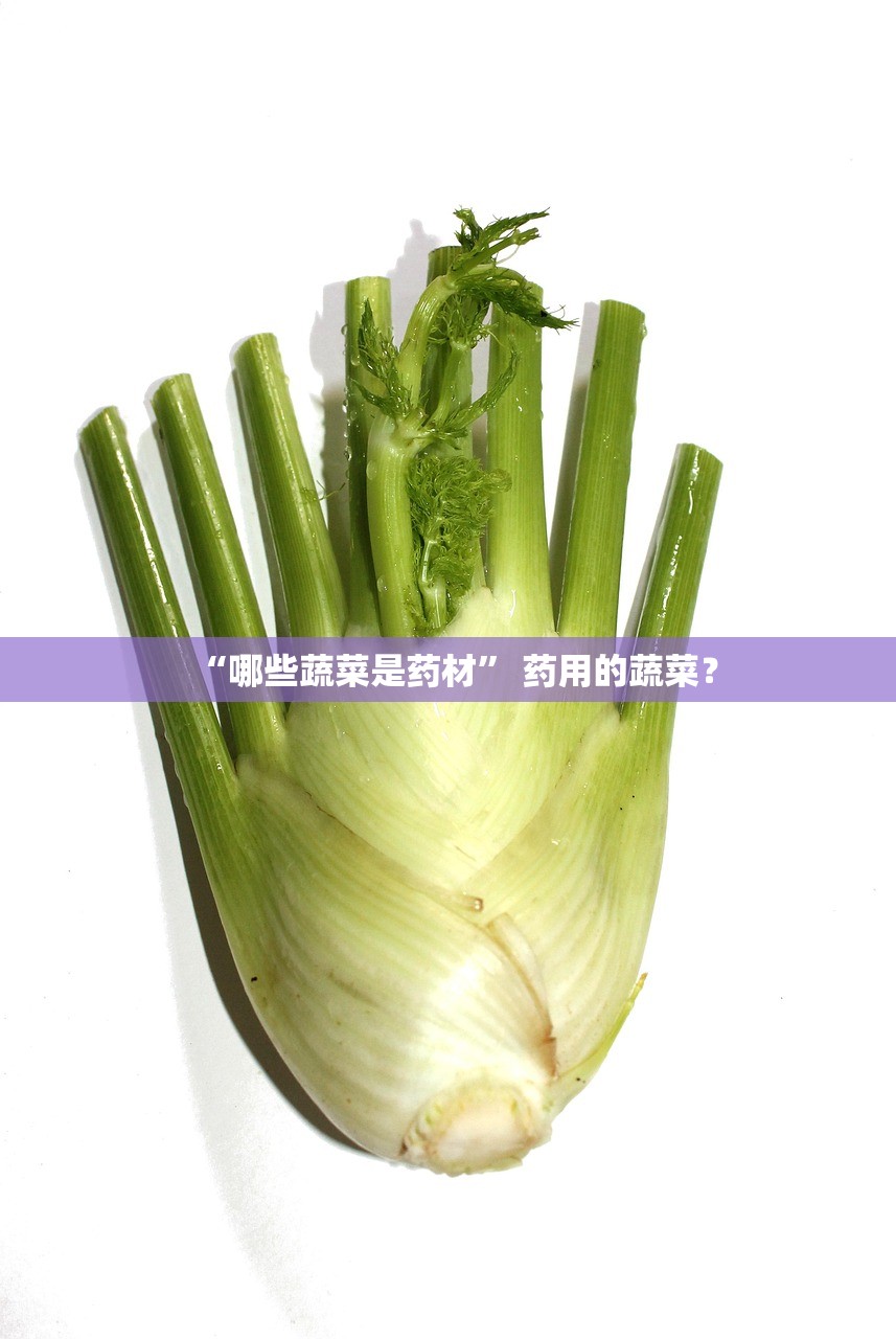 “哪些蔬菜是药材” 药用的蔬菜？