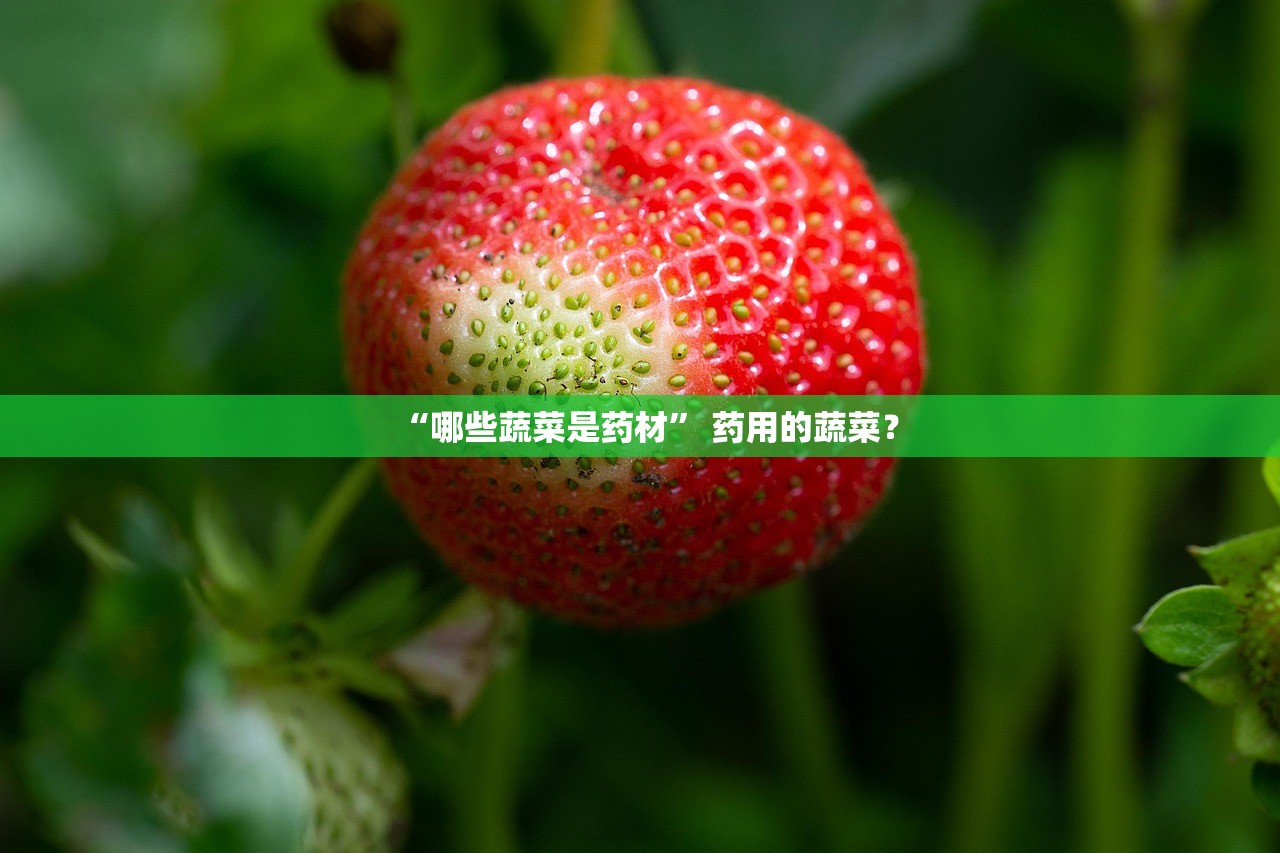 “哪些蔬菜是药材” 药用的蔬菜？