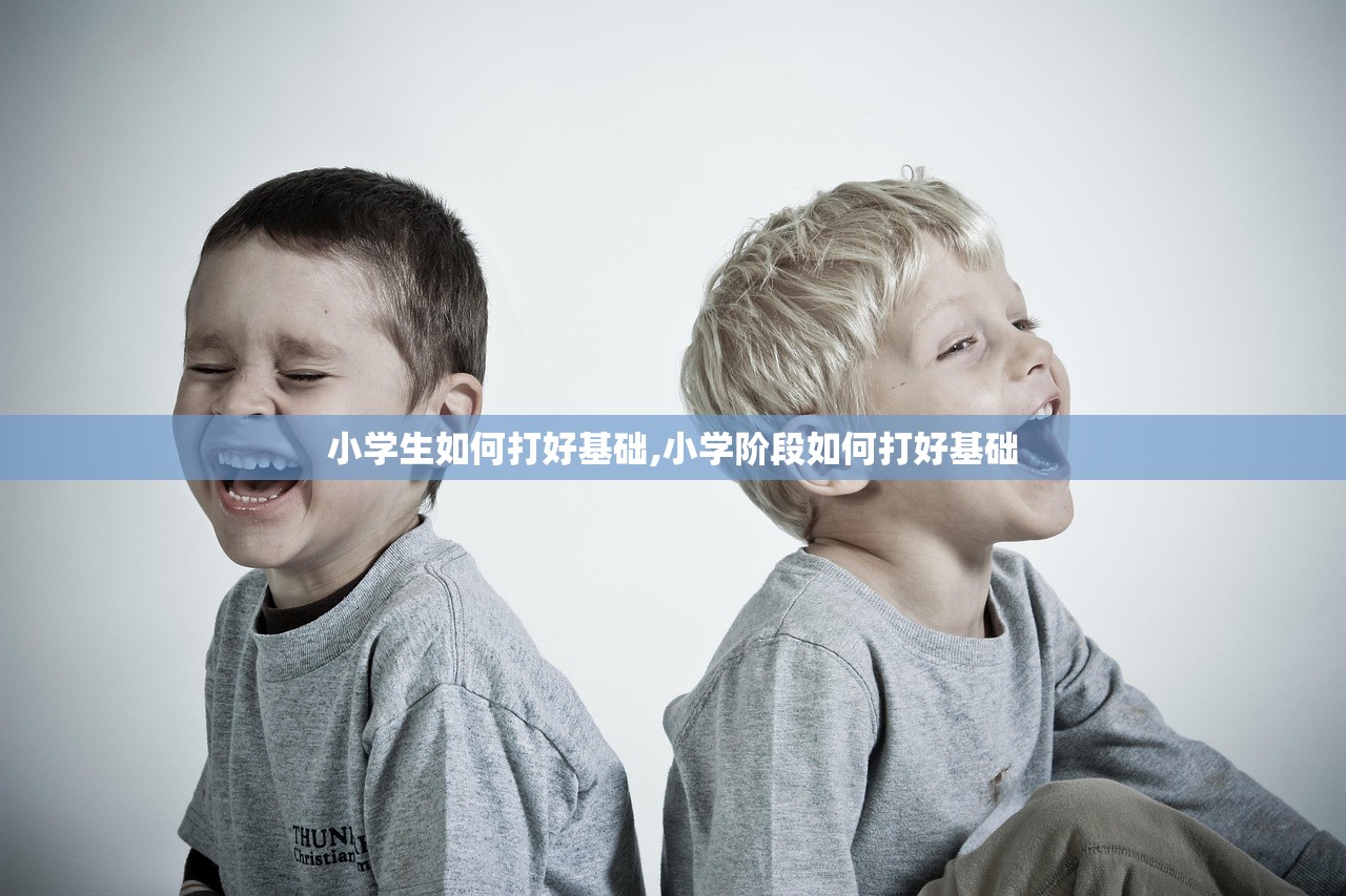 小学生如何打好基础,小学阶段如何打好基础